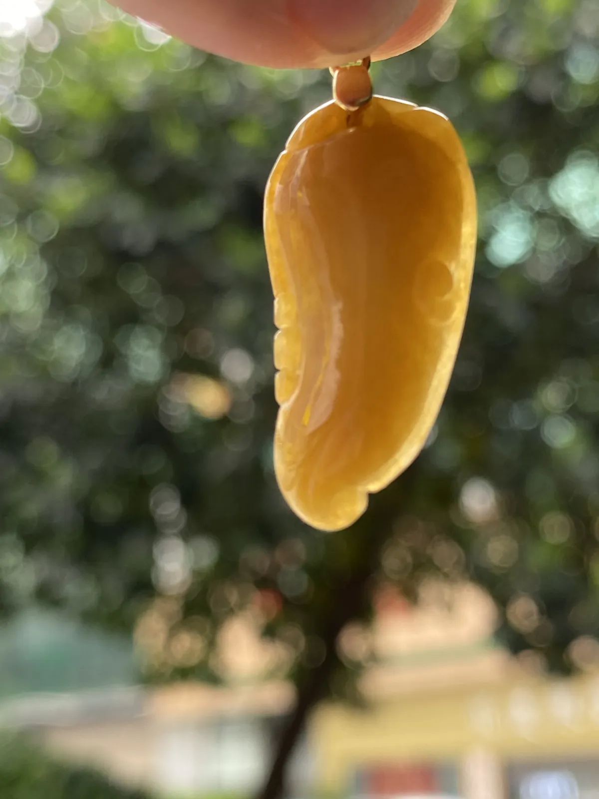 推荐【黄翡福瓜】鸡油黄天然黄翡，无纹裂，水润，细腻，种老，品相佳，带银扣，超值～～石头尺寸28.2*13.8*5.8