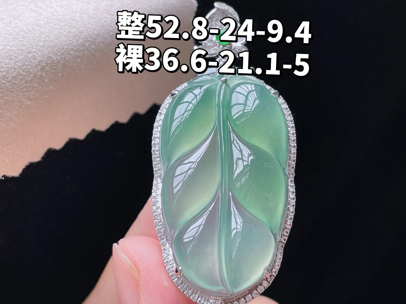 18K 冰种晴水·叶子

整52.8-24-9.4
裸36.6-21.1-5