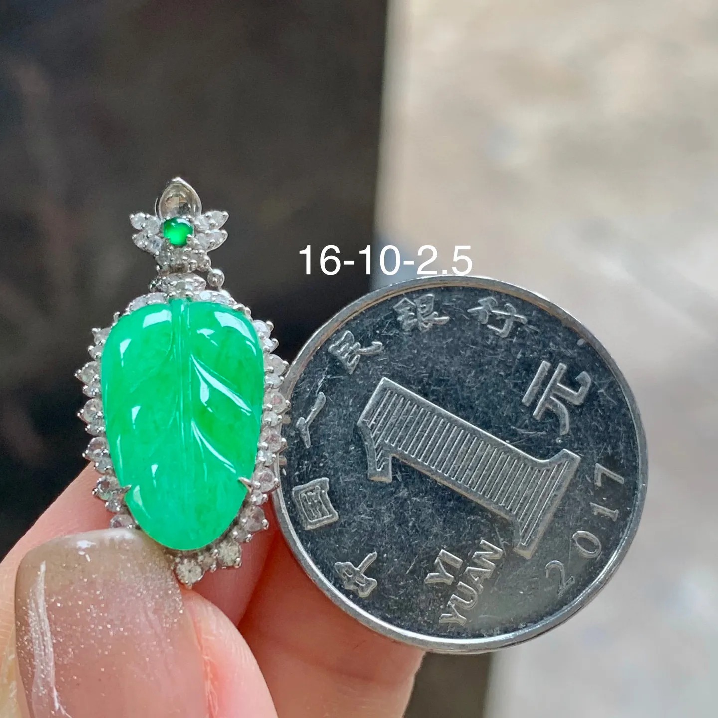 满色叶子
金枝玉叶～