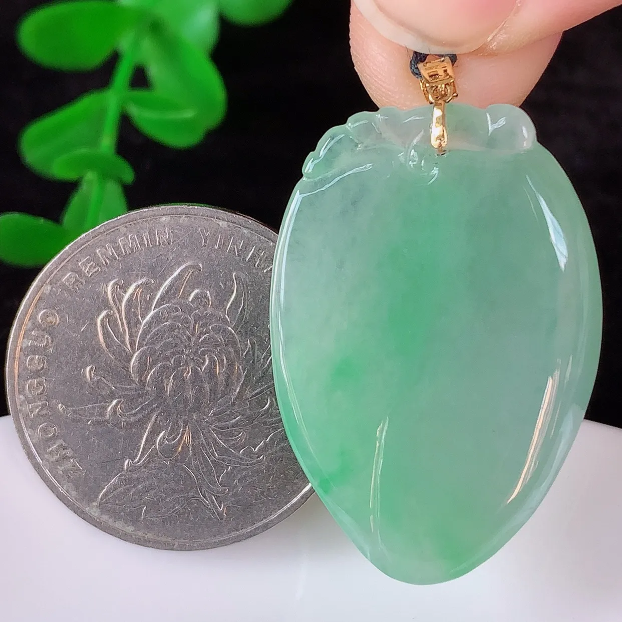 自然光实拍，18K金镶嵌冰润冰种飘绿翡翠招财福瓜吊坠，翡翠福瓜招财瓜，冰润且起胶感，佩戴效果优雅迷人！#41.19