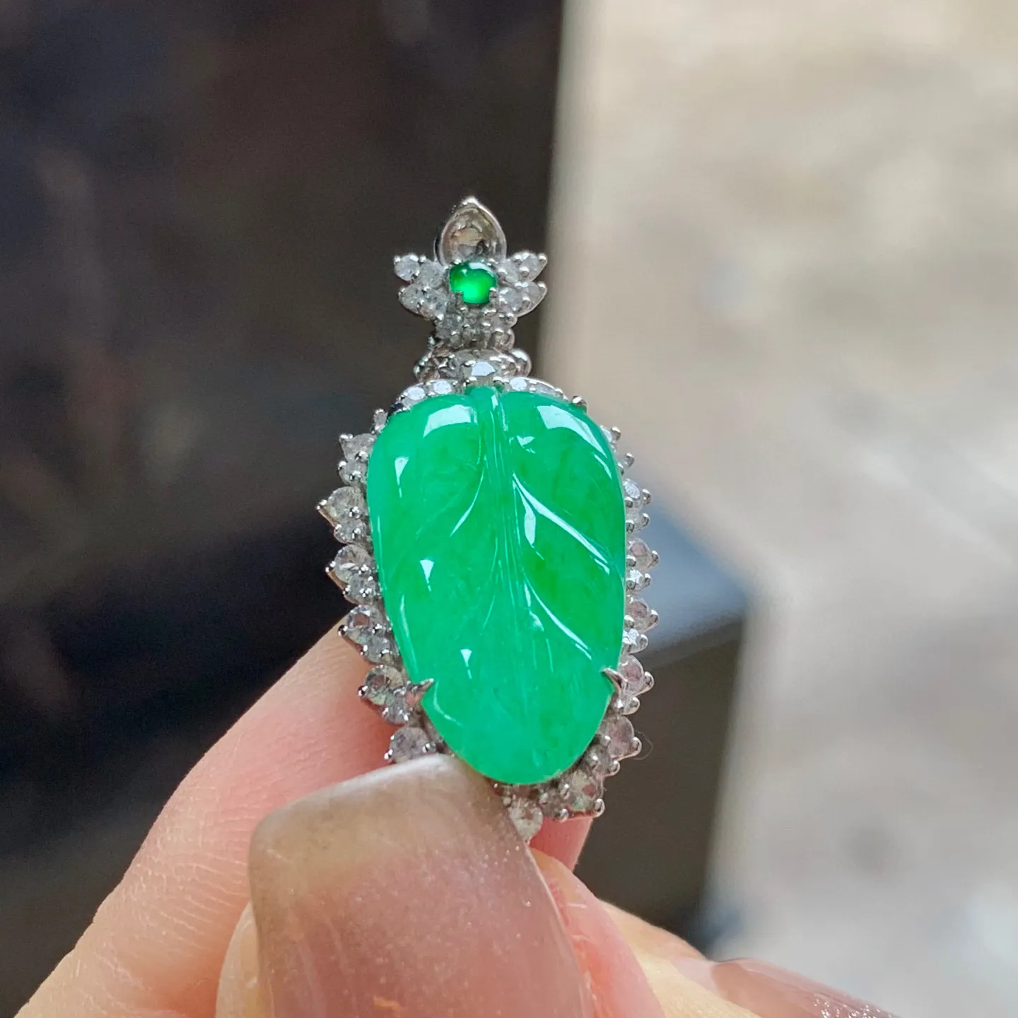 满色叶子
金枝玉叶～