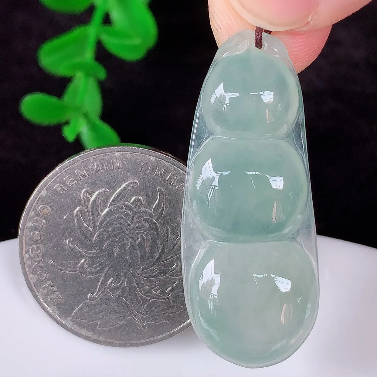 自然光实拍，冰润冰种翡翠四季豆吊坠，平安豆福豆玉坠，冰润通透，豆粒饱满，寓意：豆蔻年华！#57.19