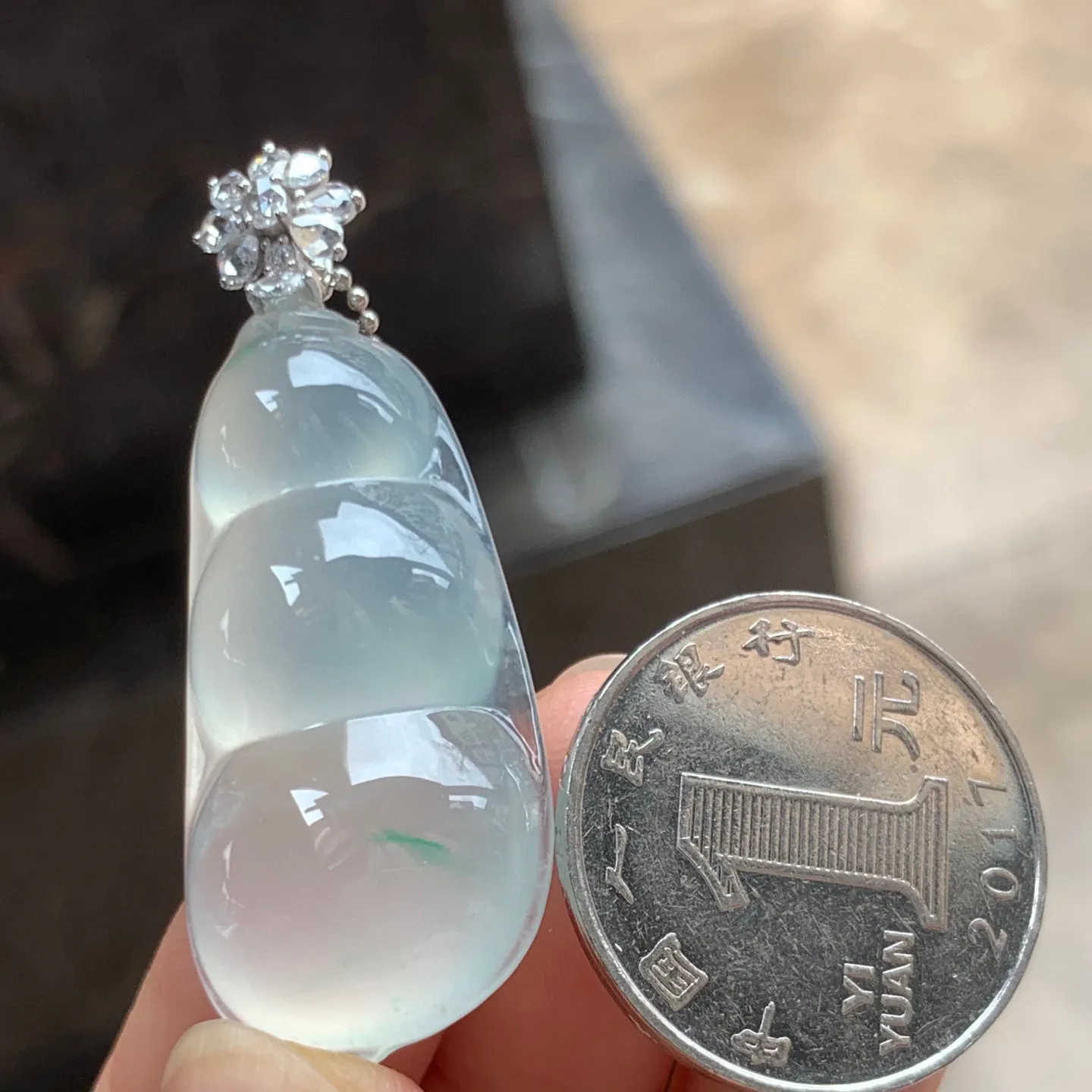 冰种飘绿福豆 纯纯的 饱满圆润 金扣