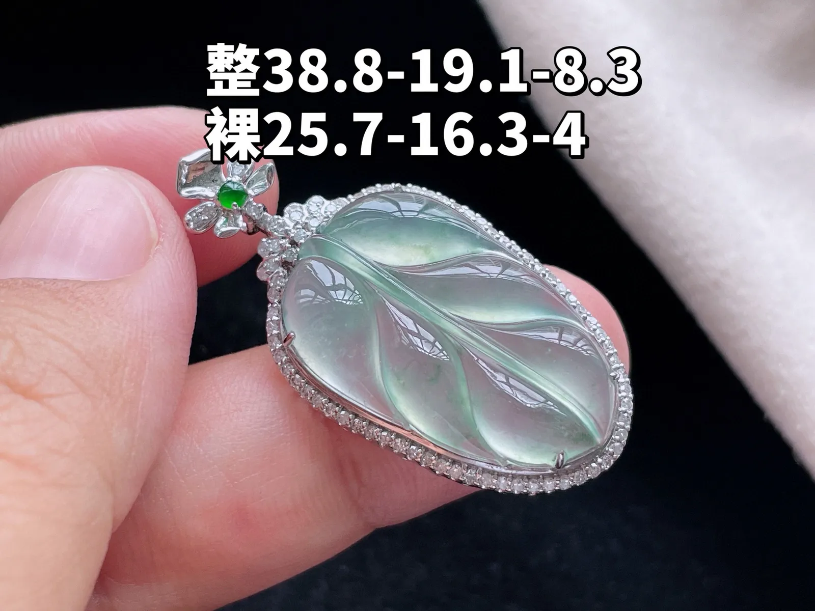 18K 冰种·叶子

整38.8-19.1-8.3
裸25.7-16.3-4