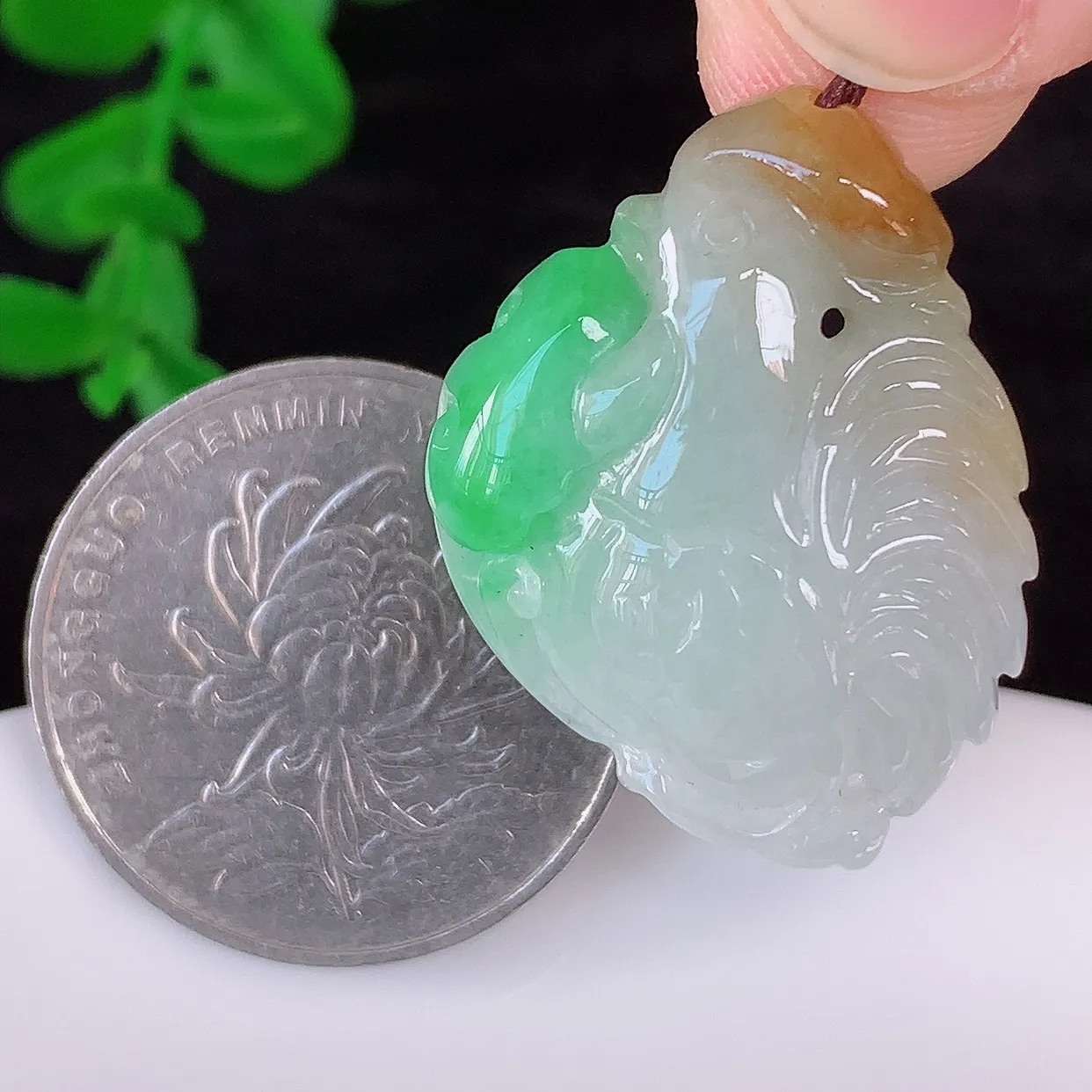 自然光实拍，冰润冰糯种双彩黄加绿翡翠生肖鸡吊坠，闻鸡起舞，种老水足，翠色灵动，寓意美好，佩戴时尚出众！#87.21