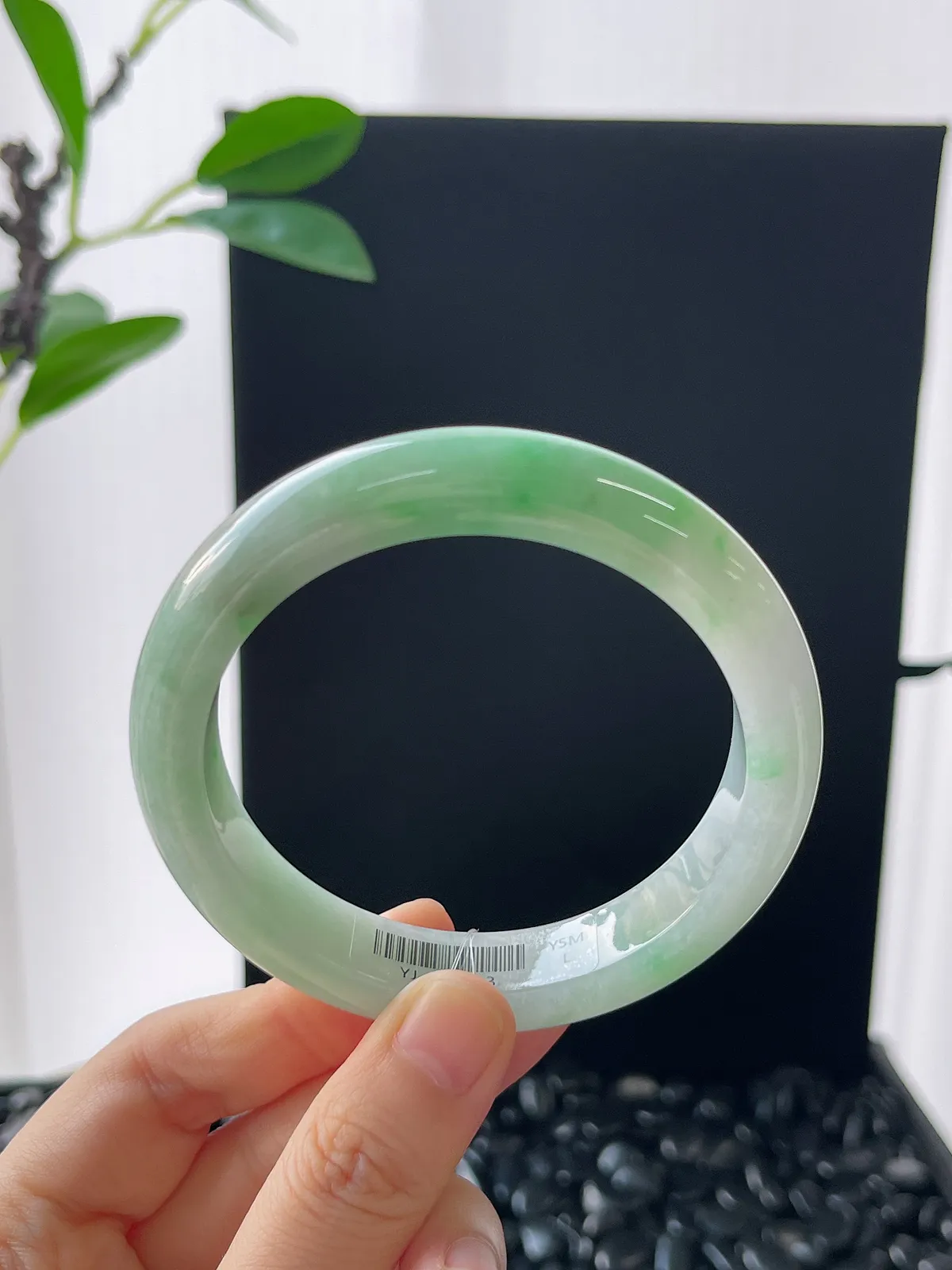 正圈58.3圈口，翡翠糯化种飘绿手镯