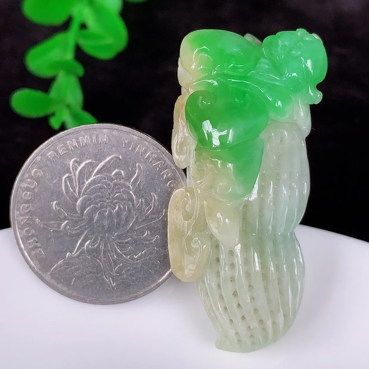 自然光实拍，厚装冰润冰糯种双彩黄加绿飘阳绿翡翠花生吊坠，好事发生，种老水足，翠色灵动，寓意美好，佩戴时尚出众！#01.21