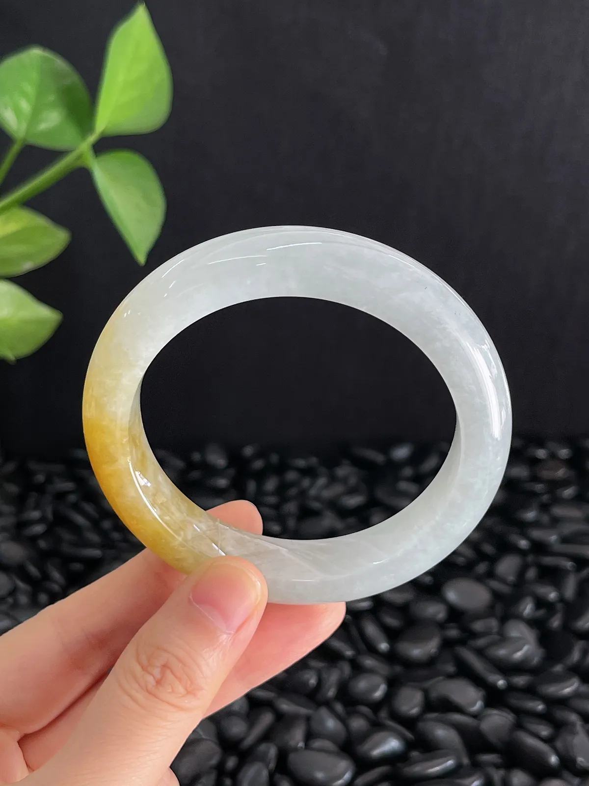 正圈55.6圈口，翡翠糯化种黄色手镯