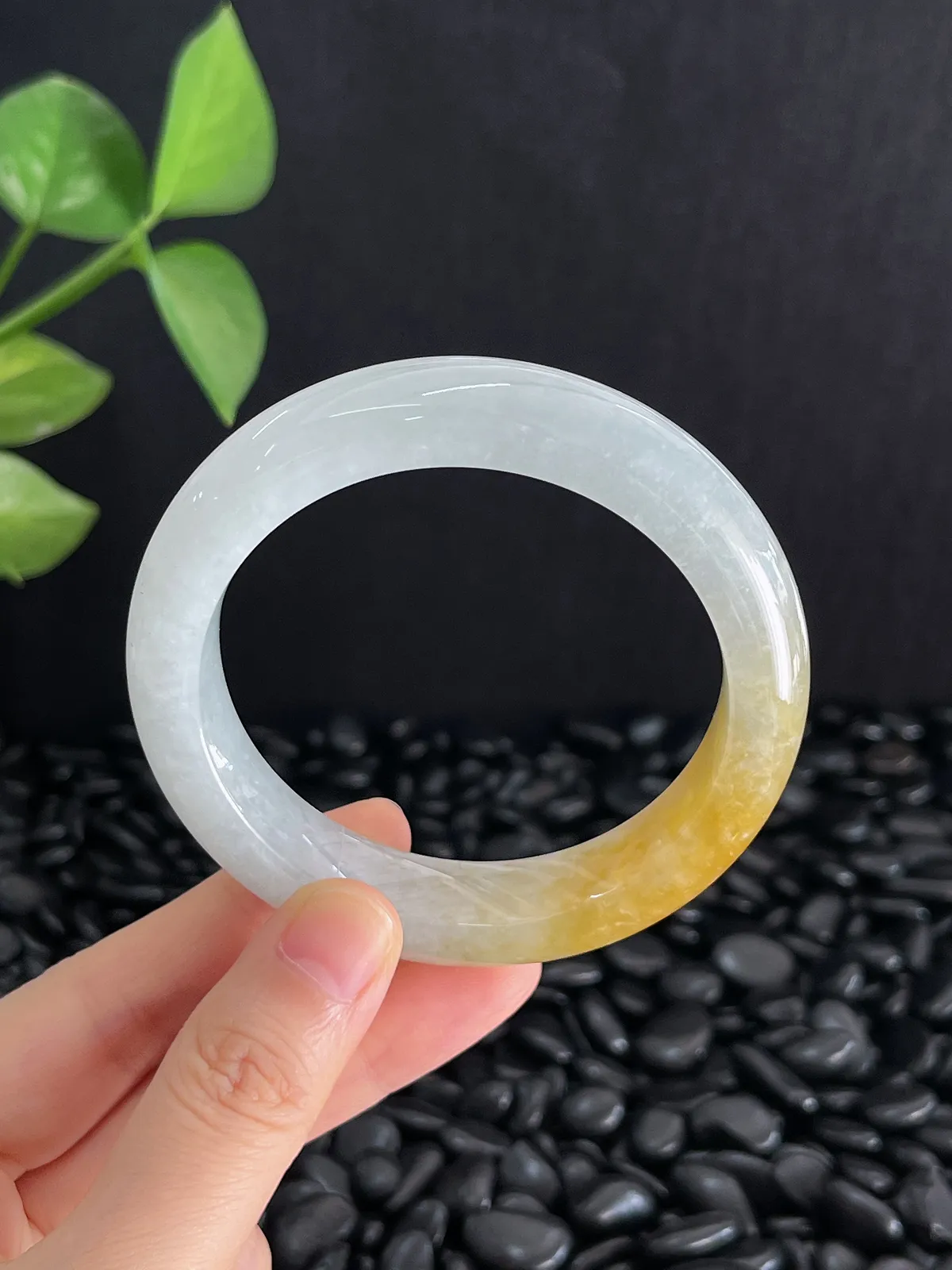 正圈55.6圈口，翡翠糯化种黄色手镯