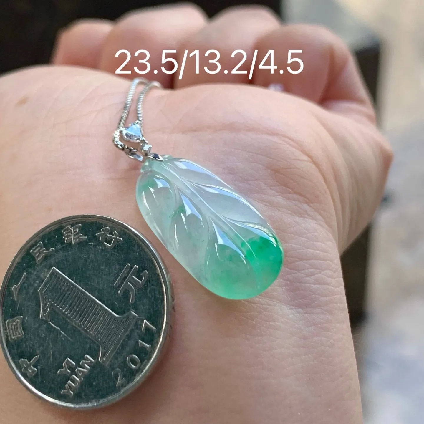 冰种带色玉叶
清爽 金扣