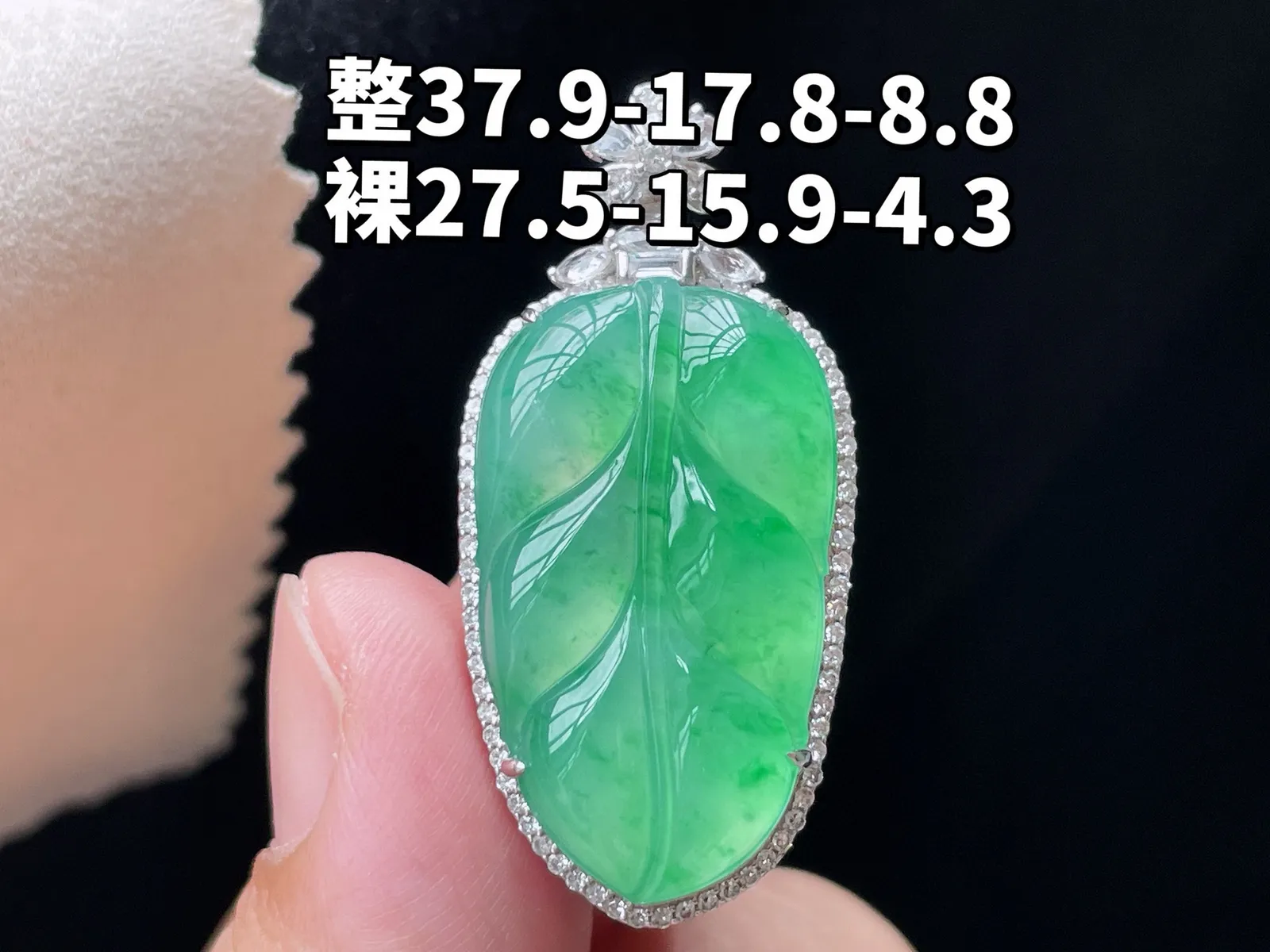 18K 满色·叶子

整37.9-17.8-8.8
裸27.5-15.9-4.3