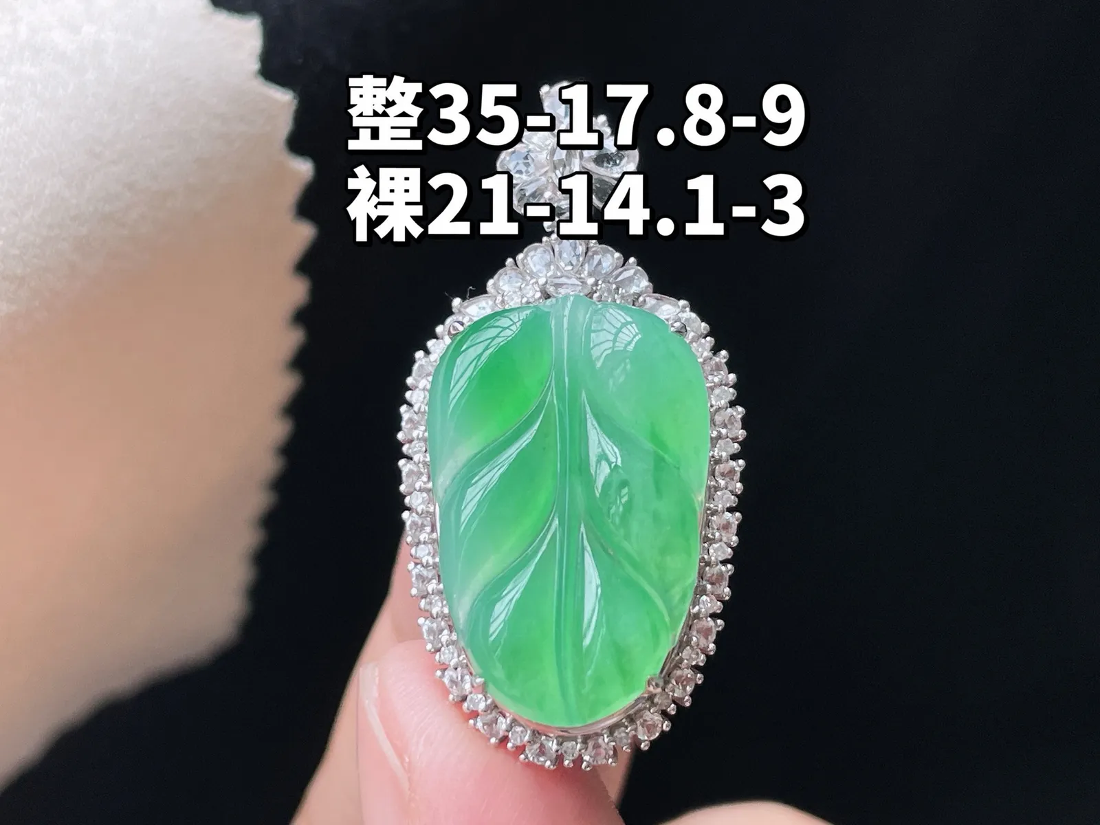 18K 满色·叶子

整35-17.8-9
裸21-14.1-3
