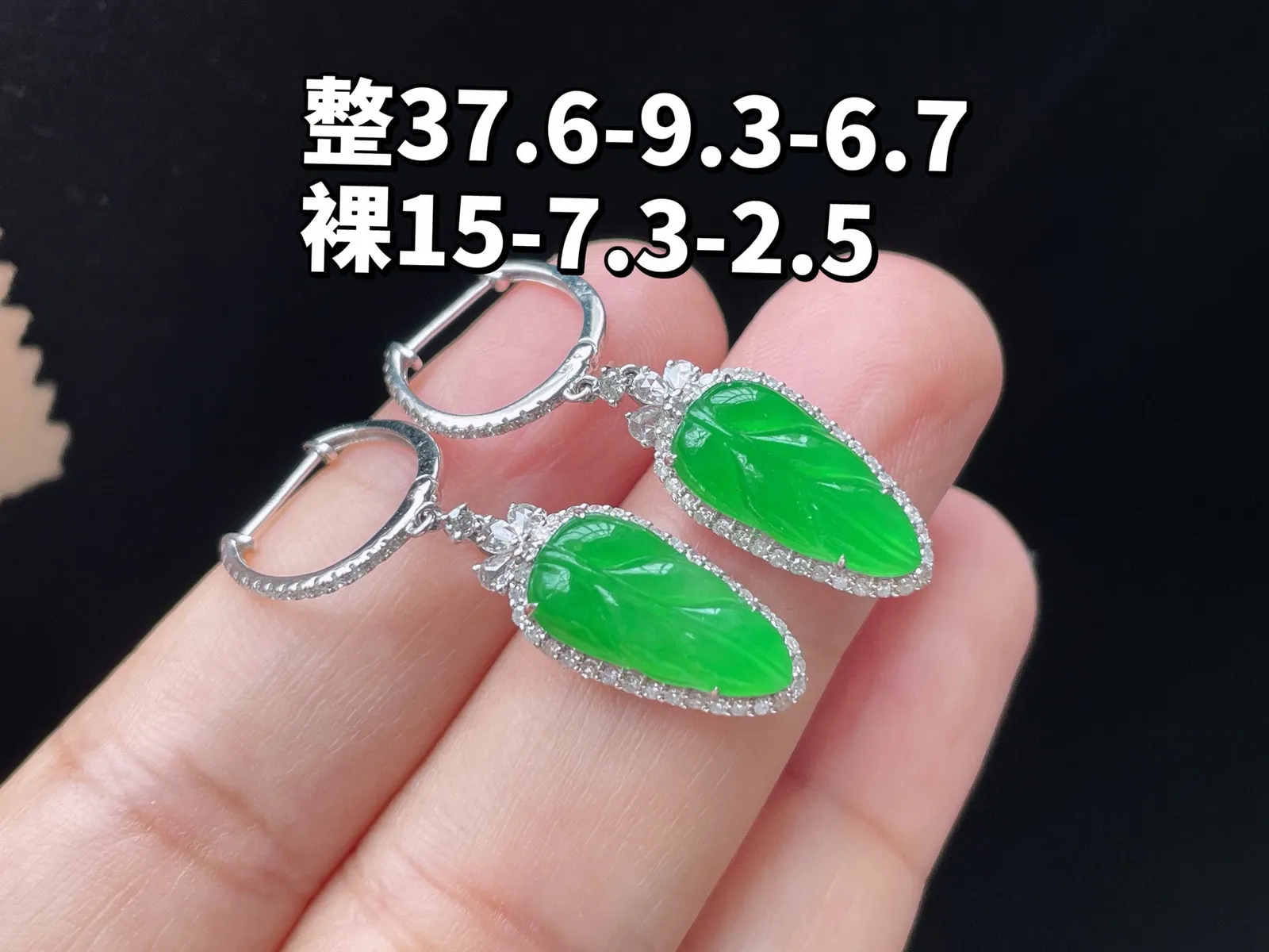 18K 满色·叶子耳坠

整37.6-9.3-6.7
裸15-7.3-2.5