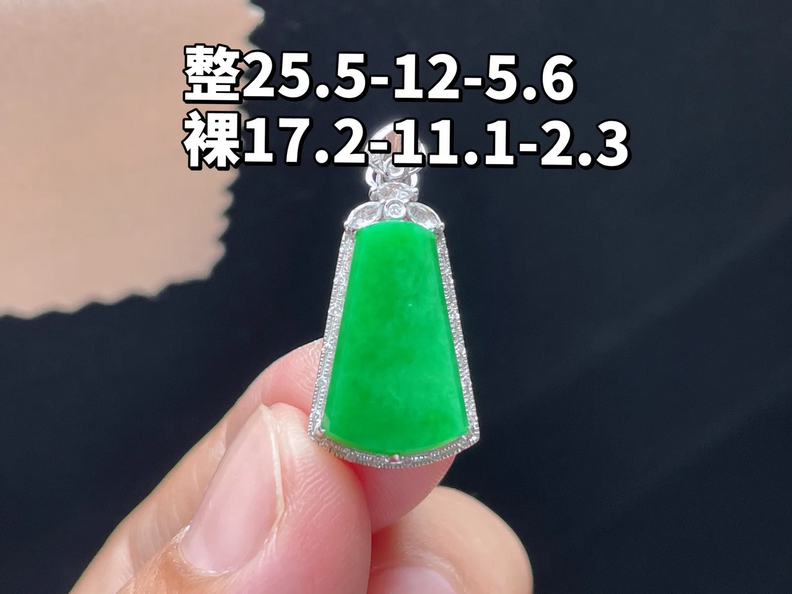 18K 满色·无事牌

整25.5-12-5.6
裸17.2-11.1-2.3