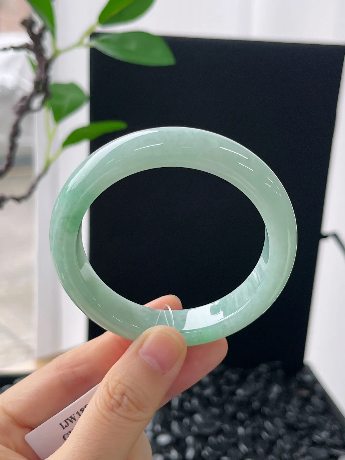 正圈53圈口，翡翠糯化种飘绿手镯
