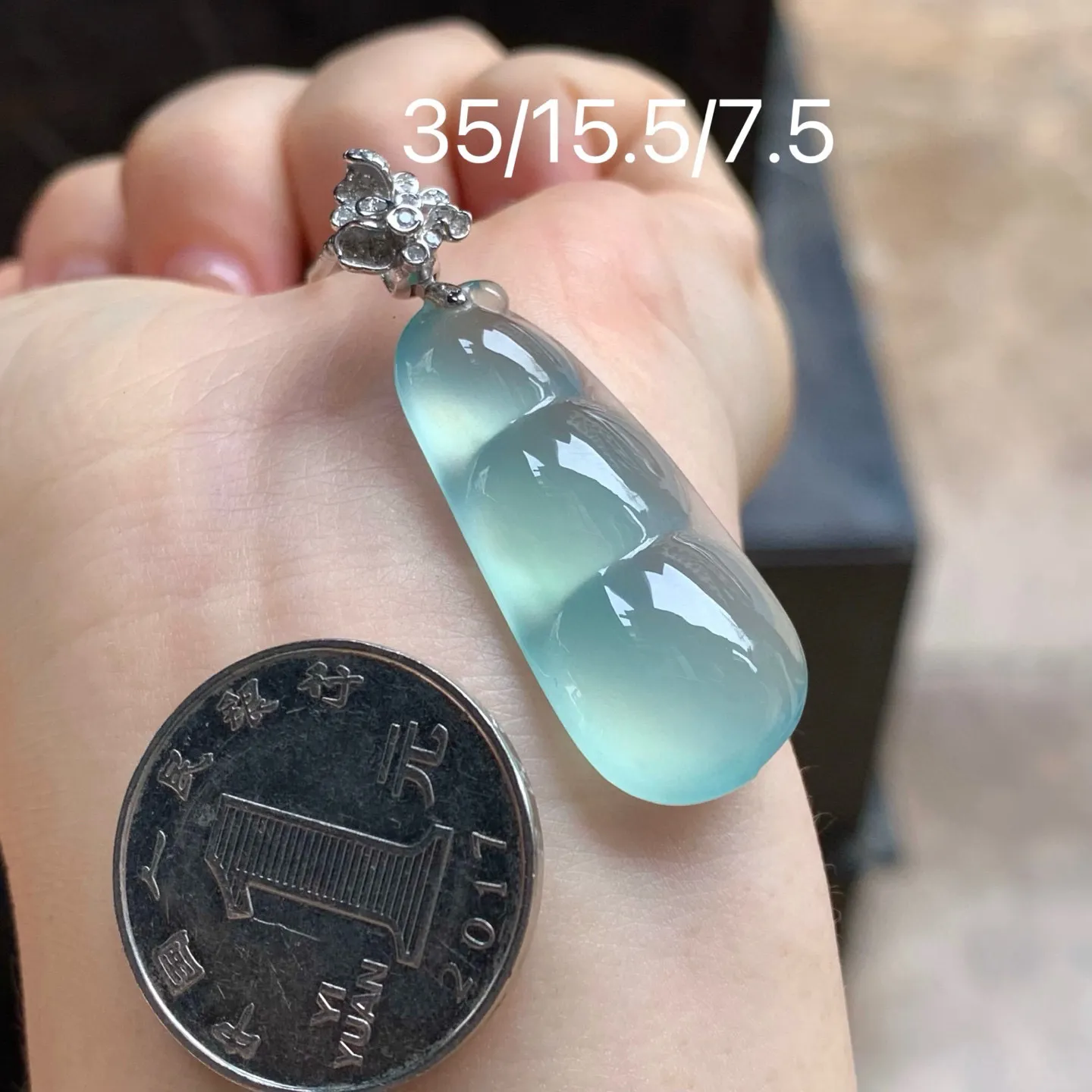 冰晴福豆
种老 金扣