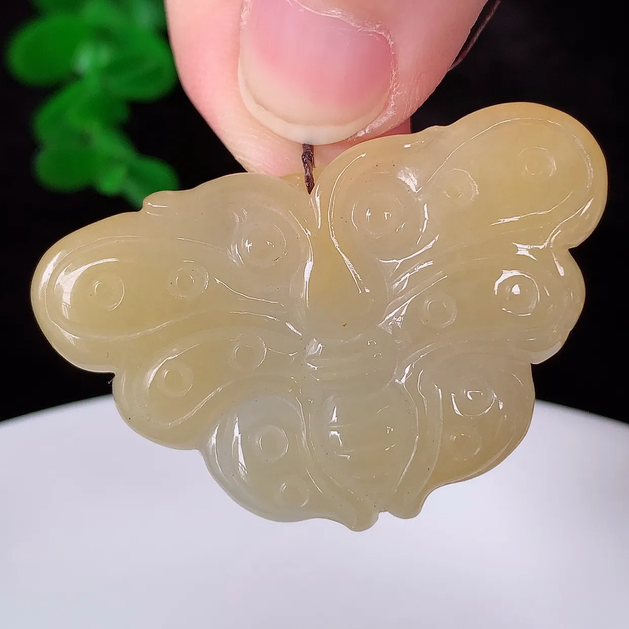 自然光实拍 冰润冰糯种黄翡翡翠蝴蝶吊坠，种老水足，翠色灵动，寓意美好 佩戴时尚出众！#57.26
