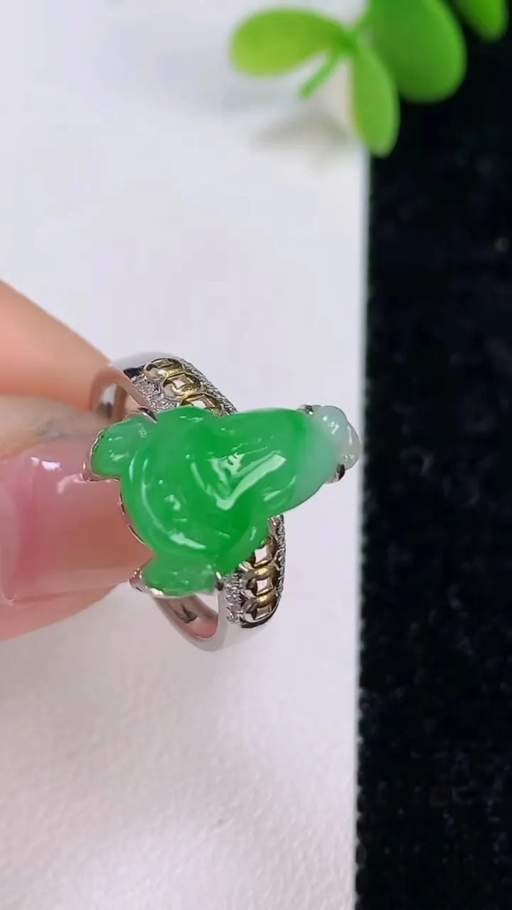 天然A货翡翠金蟾戒指，尺寸20-6.8-11.7，重量:4.30g2025年7月14日
工厂直销收藏