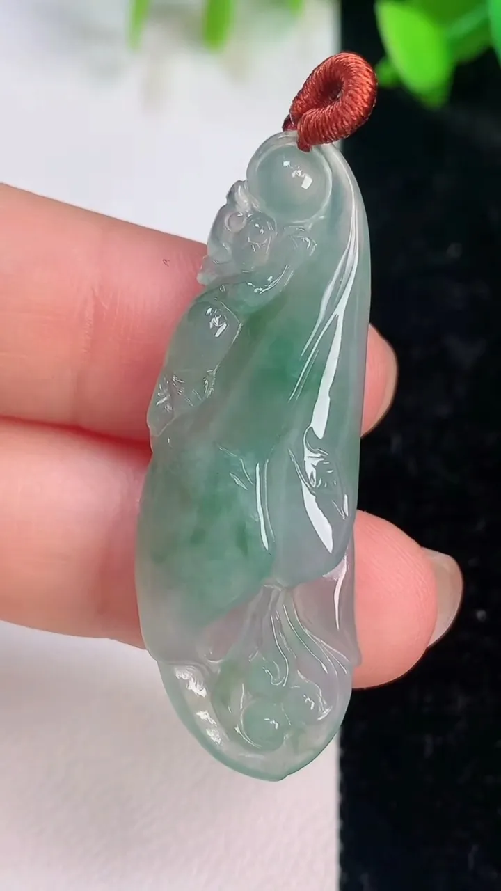天然A货翡翠玉兰花吊坠，尺寸44-15-5.7，重量:6.32g
7月14日