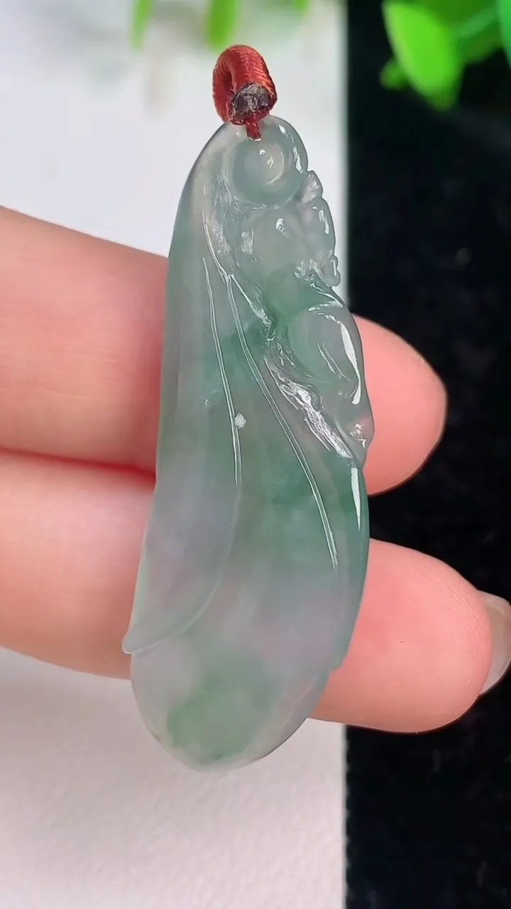 天然A货翡翠玉兰花吊坠，尺寸44-15-5.7，重量:6.32g
7月14日