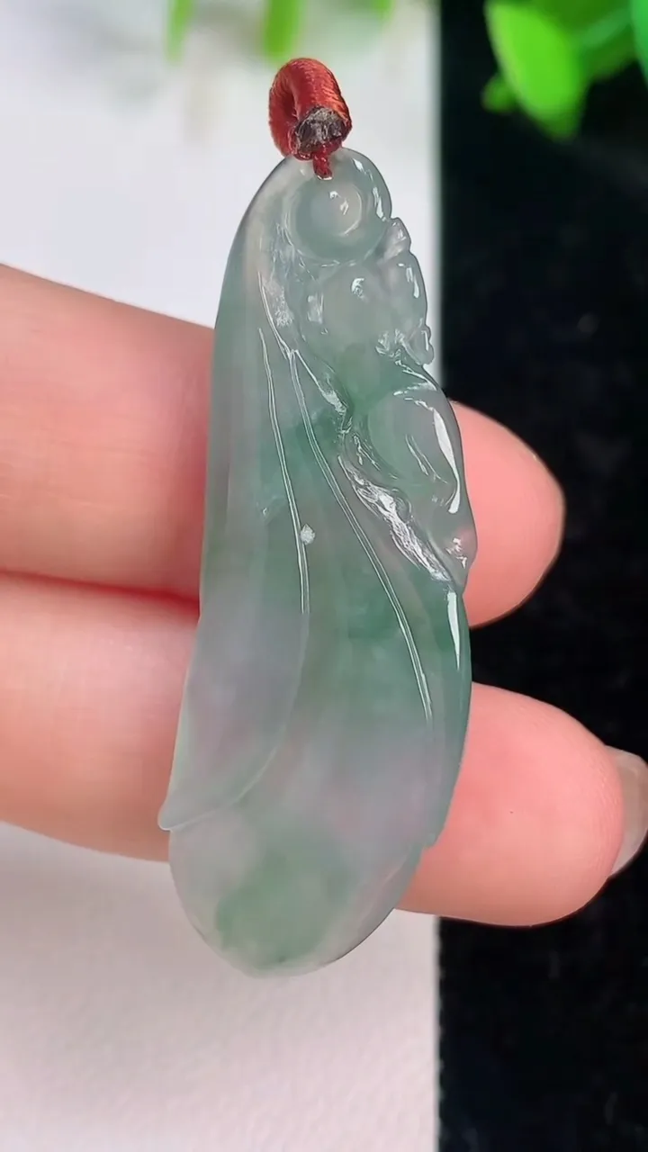 天然A货翡翠玉兰花吊坠，尺寸44-15-5.7，重量:6.32g
7月14日