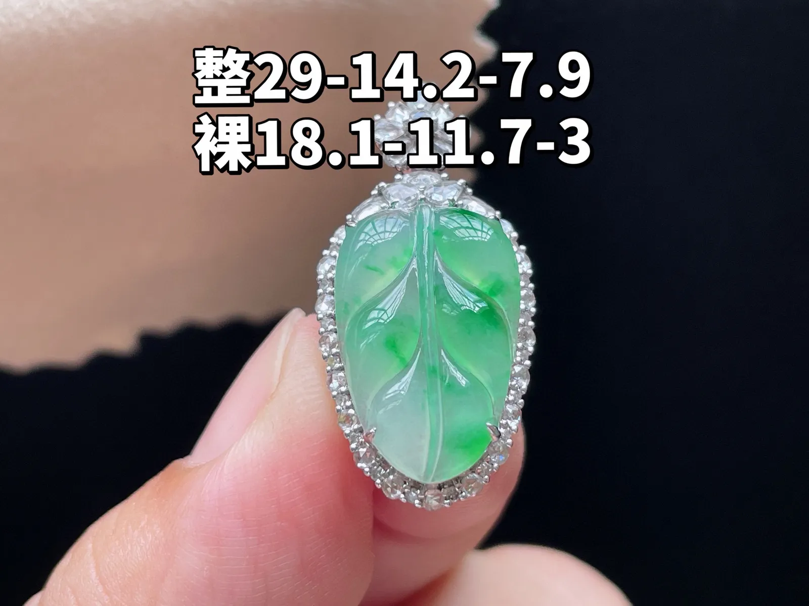 18K 冰种飘绿·叶子

整29-14.2-7.9
裸18.1-11.7-3