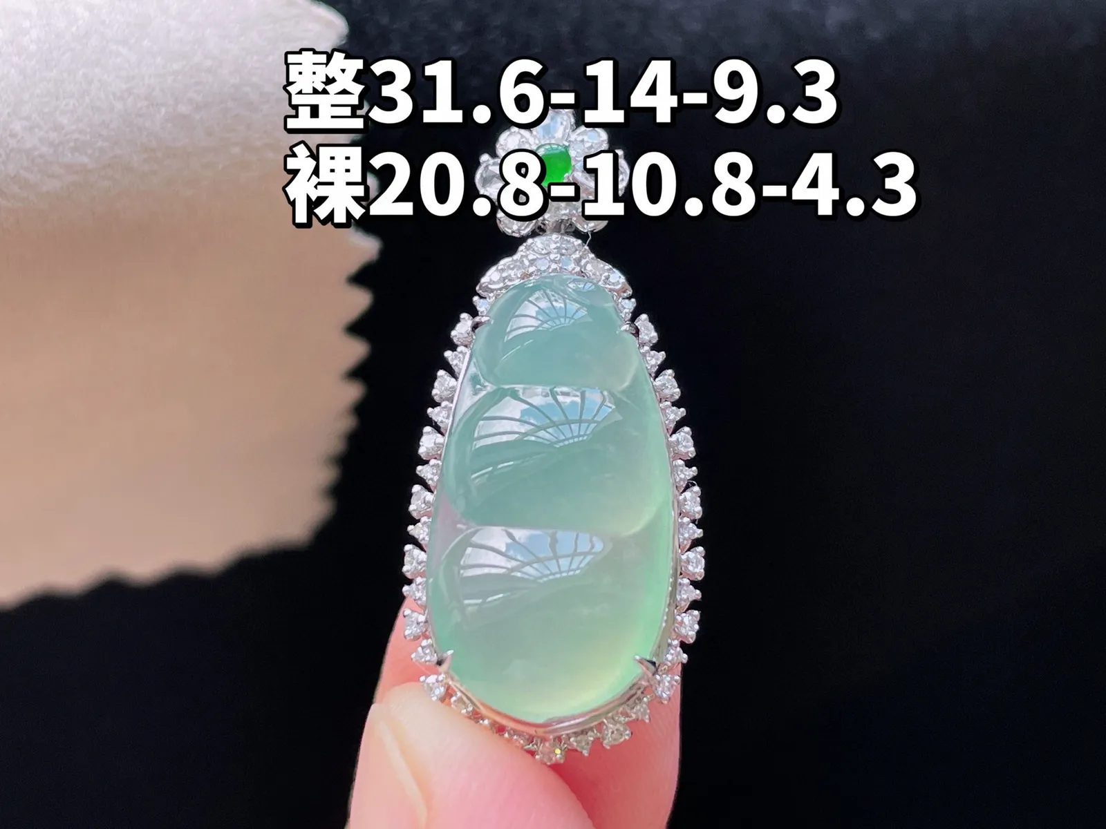 18K 冰种晴水·福豆

整31.6-14-9.3
裸20.8-10.8-4.3