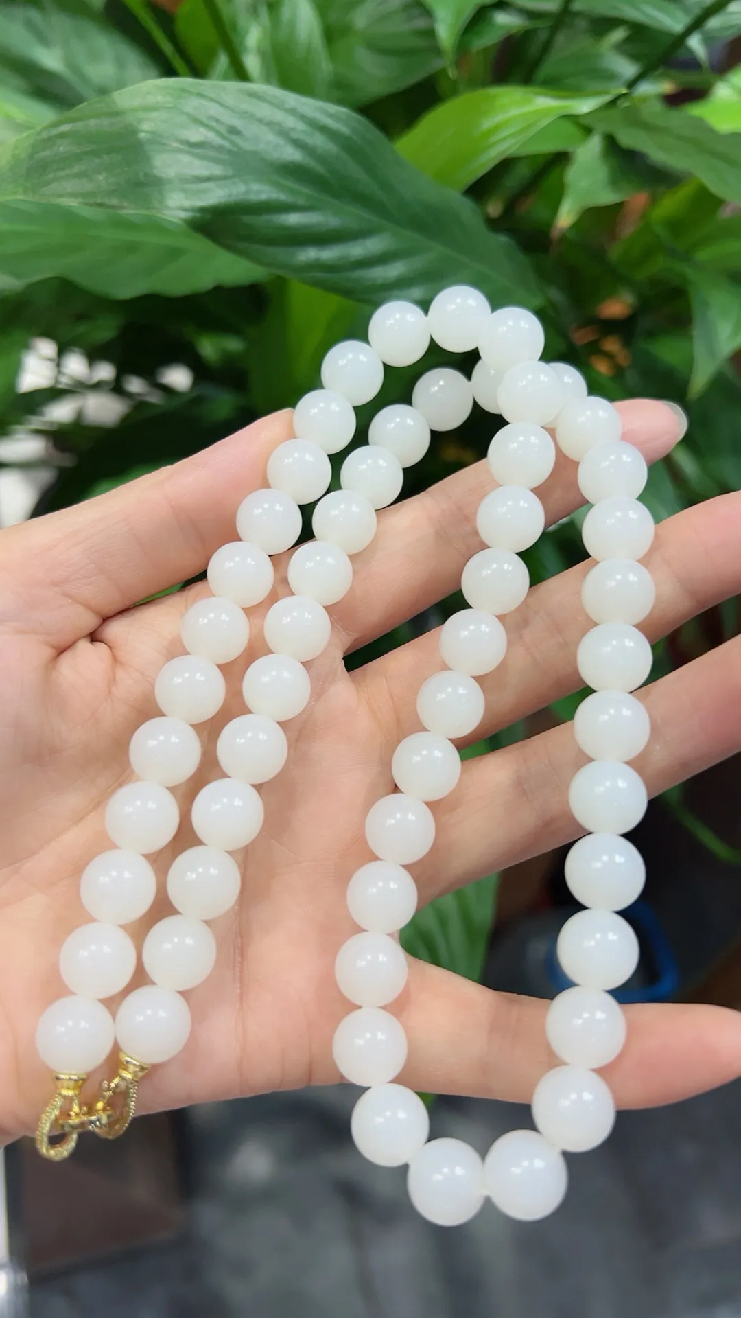 高品质｜白细油｜项链