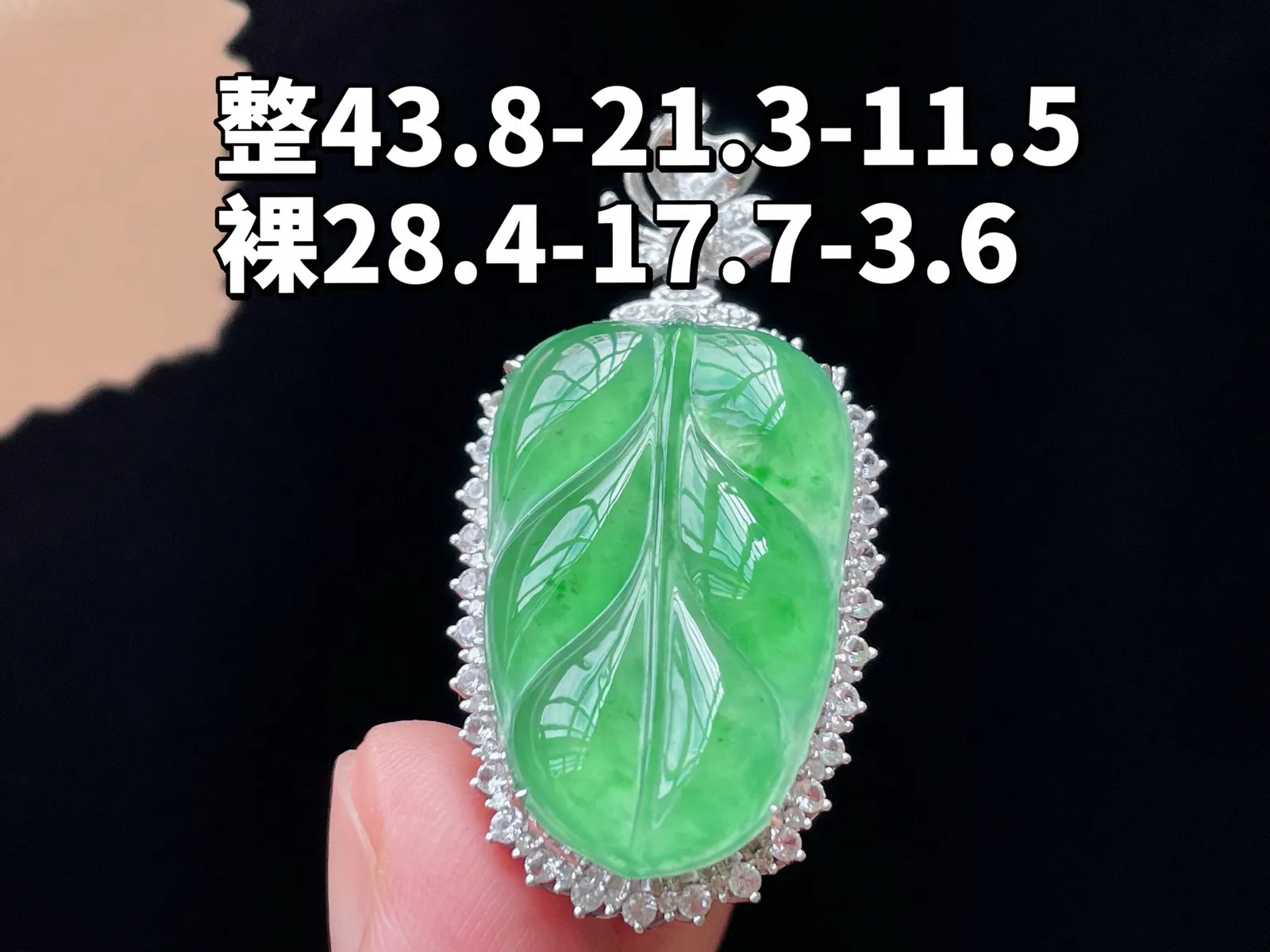 18K 满色·叶子

整43.8-21.3-11.5
裸28.4-17.7-3.6