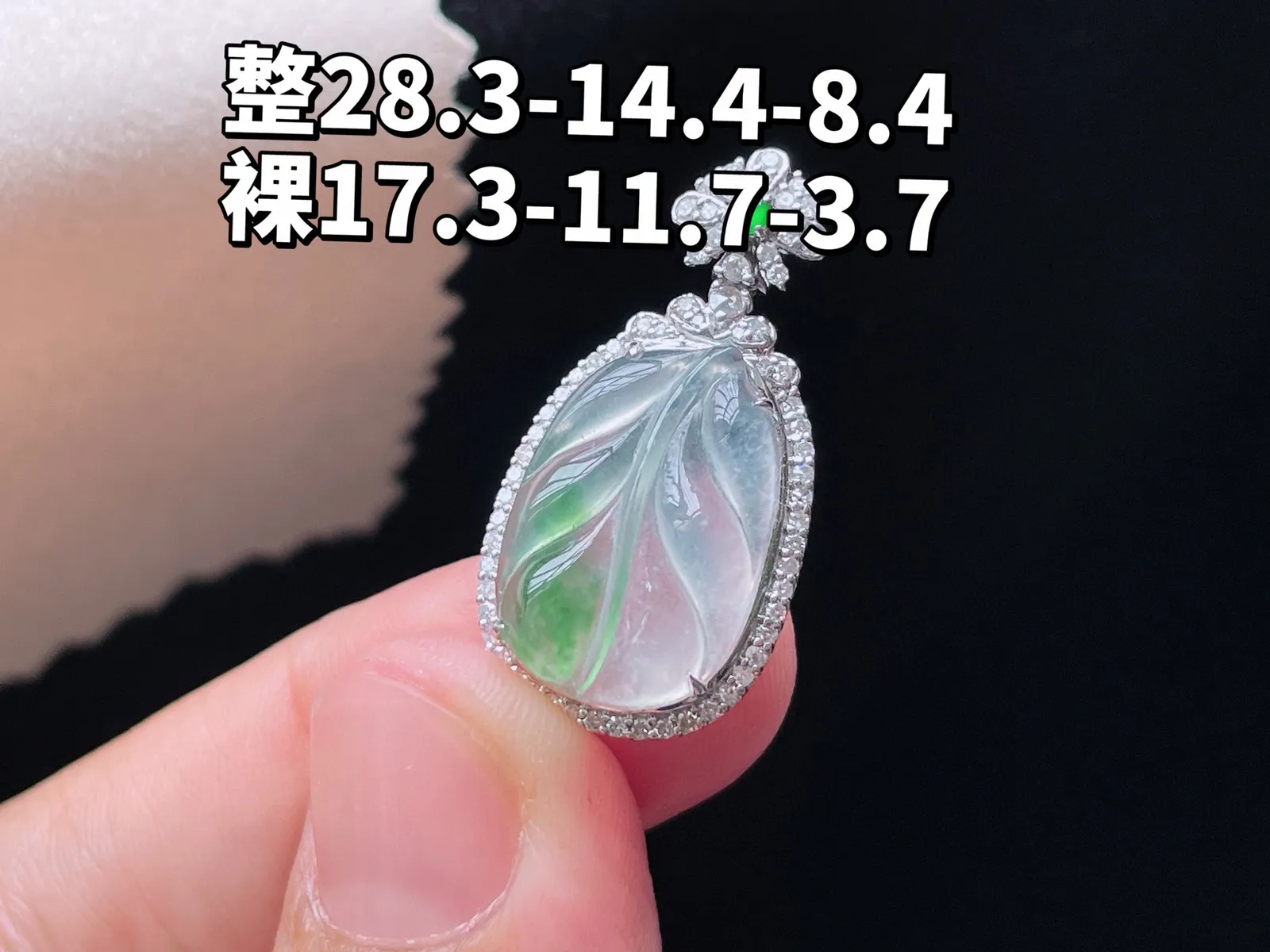 18K 冰种飘花·叶子

整28.3-14.4-8.4
裸17.3-11.7-3.7