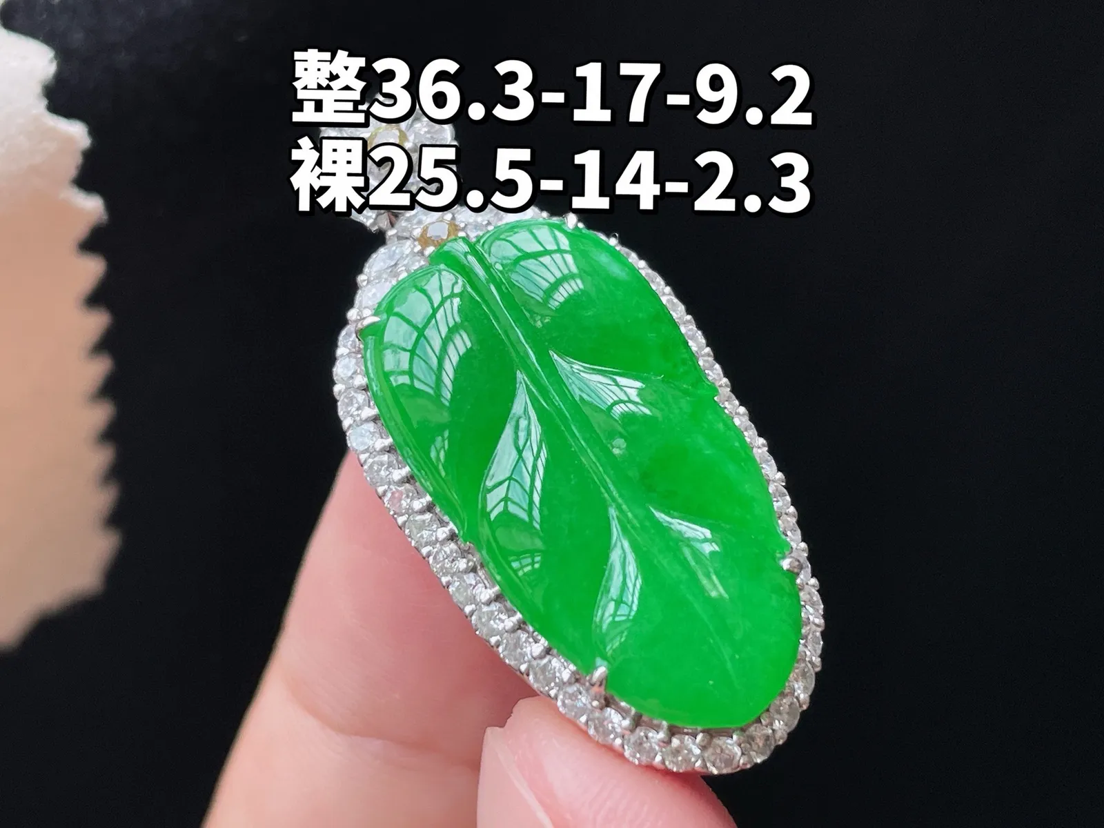 18K 满色·叶子

整36.3-17-9.2
裸25.5-14-2.3