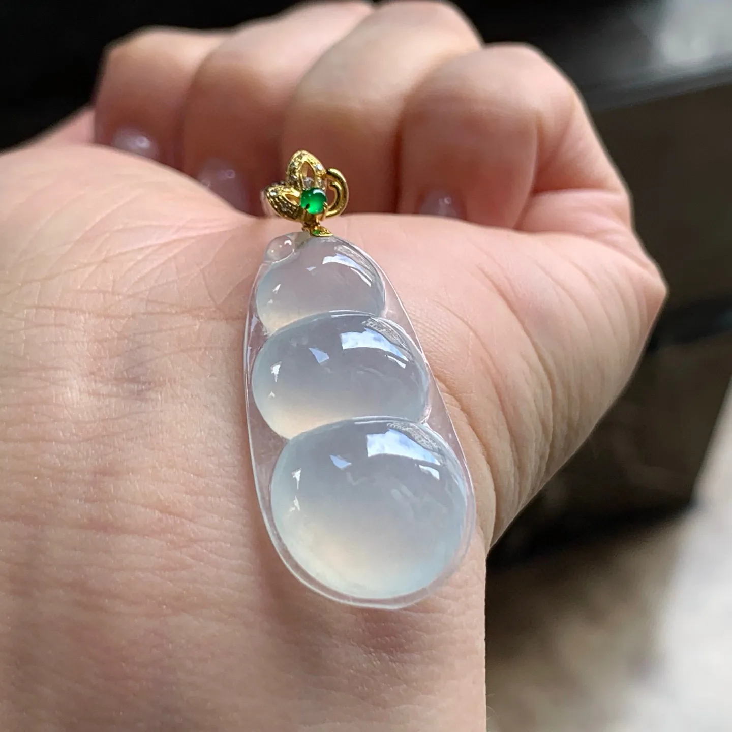 冰种福豆
清爽 金扣