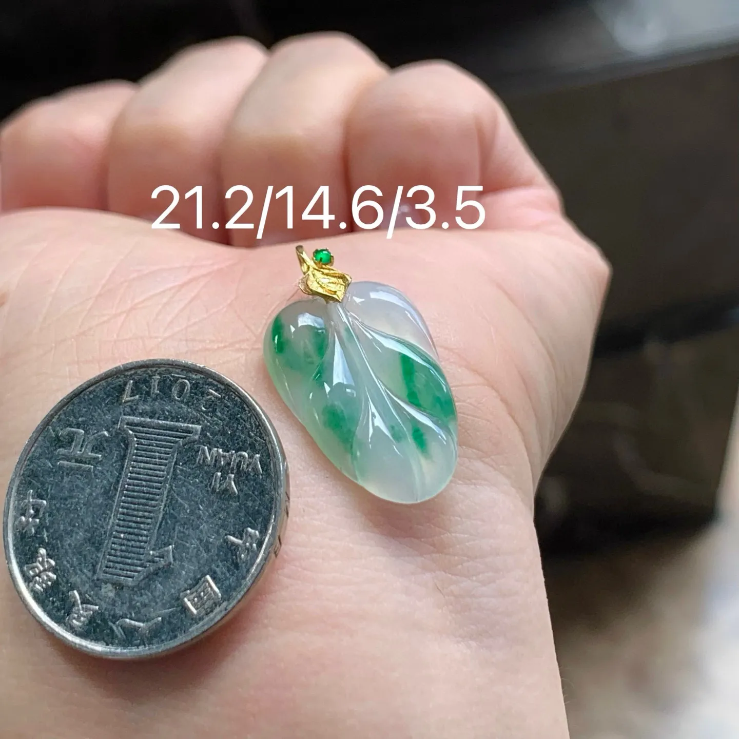 冰带色玉叶
清爽 金扣