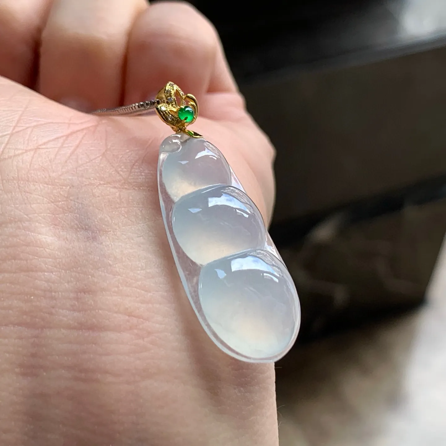 冰种福豆
清爽 金扣