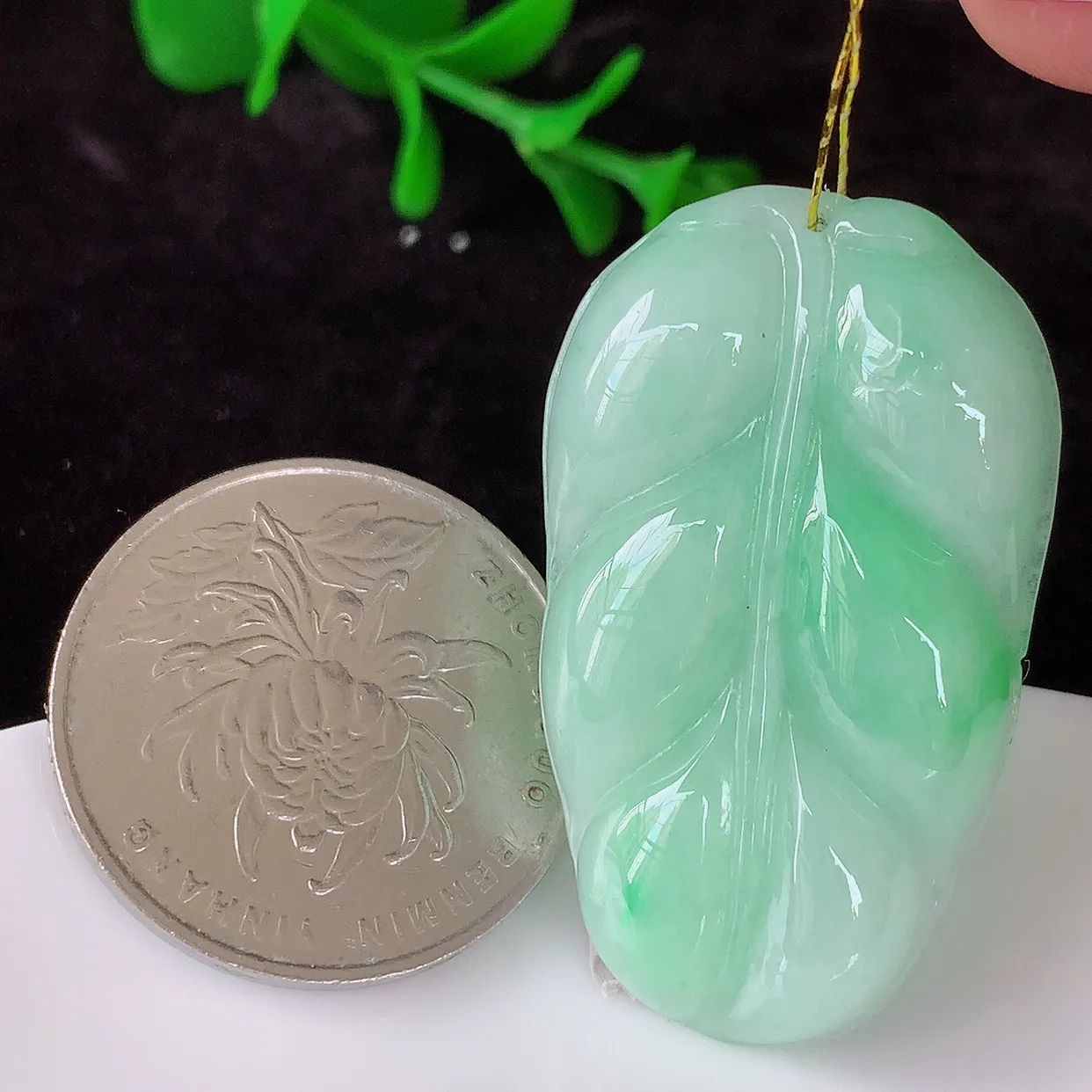 自然光实拍，冰胶飘绿叶子翡翠吊坠 ，种水足，色泽清新，工艺精湛，叶子寓意美好；金枝玉叶，事业有成。#35.1