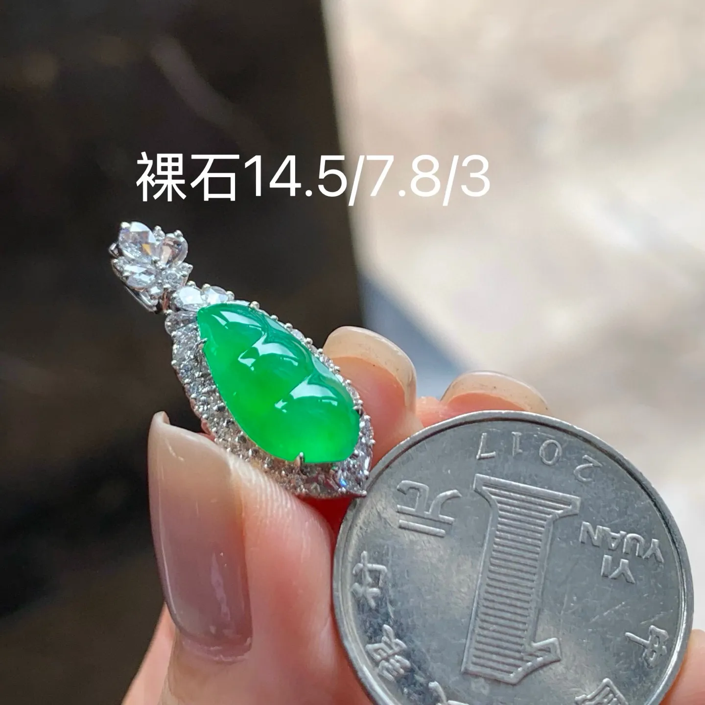 冰种阳绿福豆
色阳种老 精致