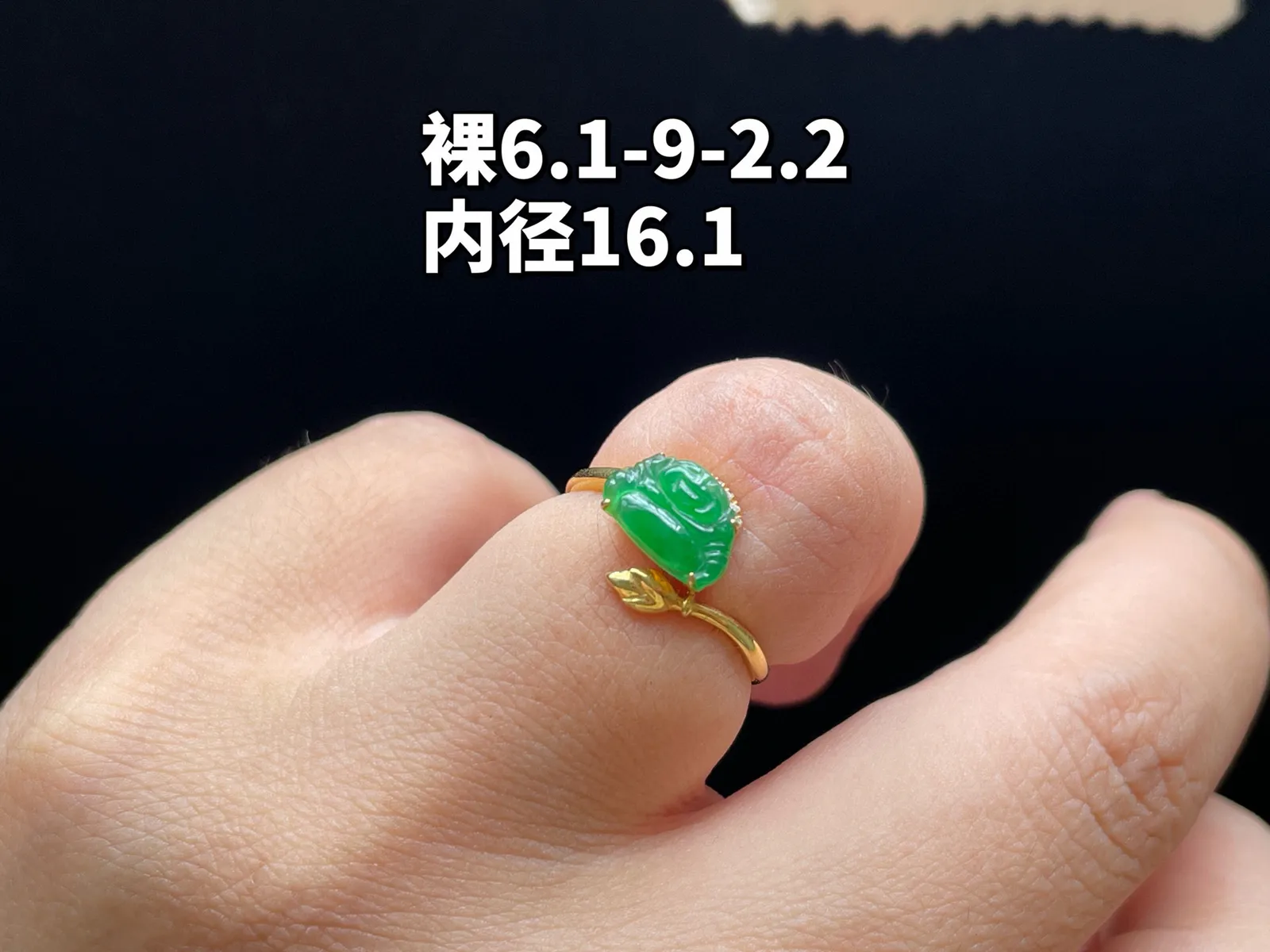 18K 满色·佛公戒指

裸6.1-9-2.2
内径16.1