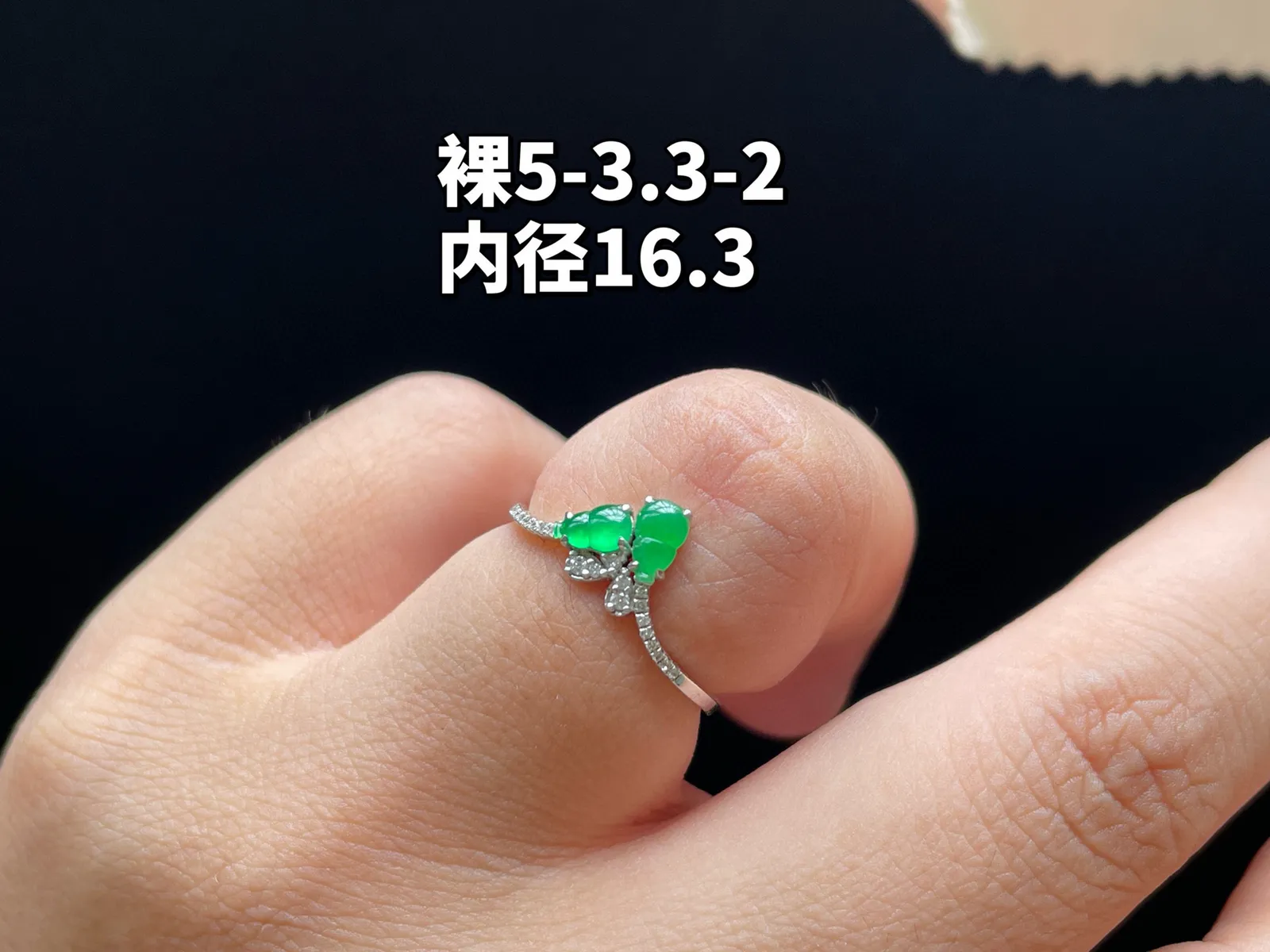 18K 满色·葫芦戒指

裸5-3.3-2
内径16.3
