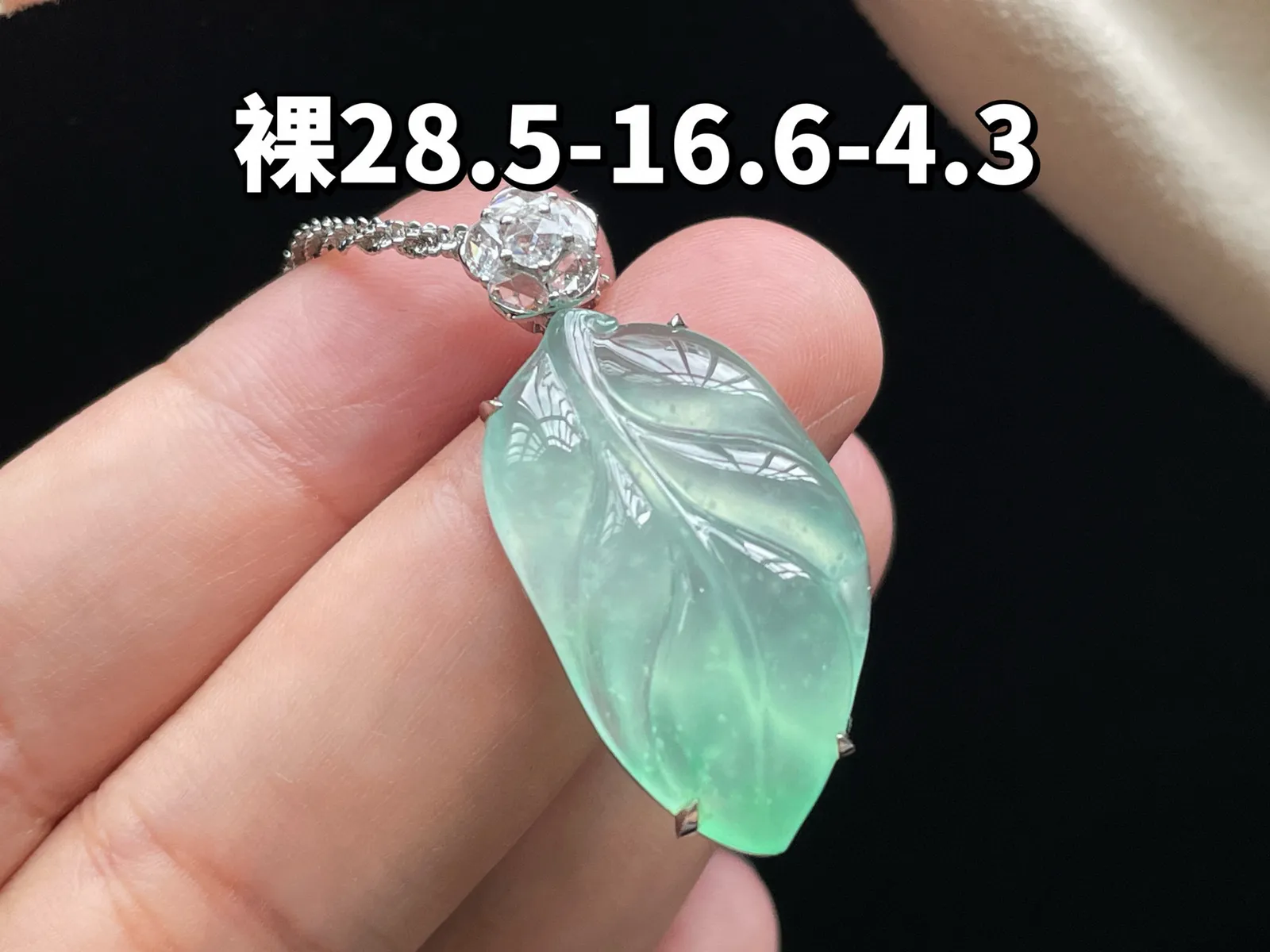 18K 冰种甜绿·叶子

裸28.5-16.6-4.3