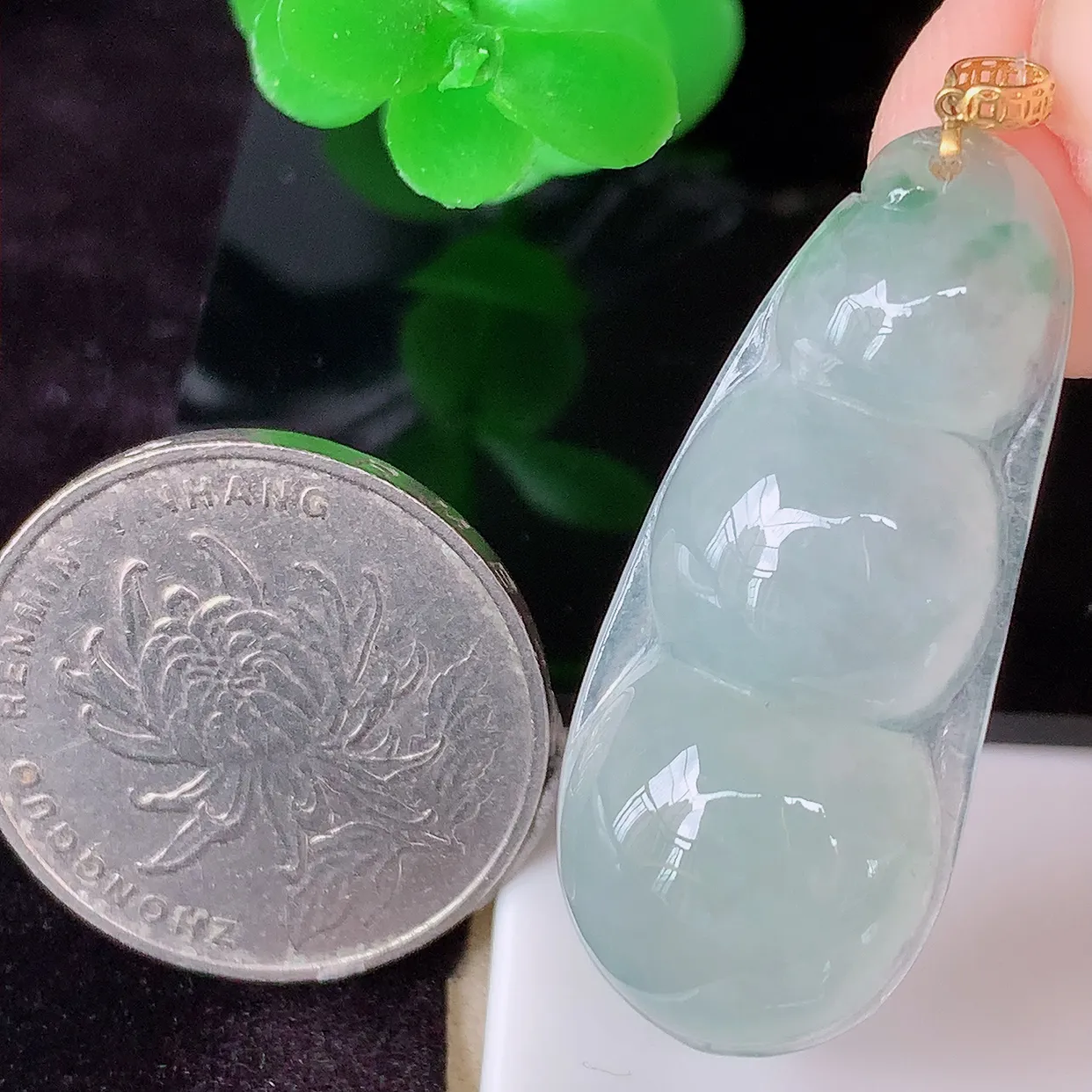 18K金镶嵌冰胶飘花四季豆吊坠，平安豆福豆翡翠玉坠，冰润通透，豆粒饱满，寓意：豆蔻年华！#49.10整体40.5裸石35.5*15.5-5.8