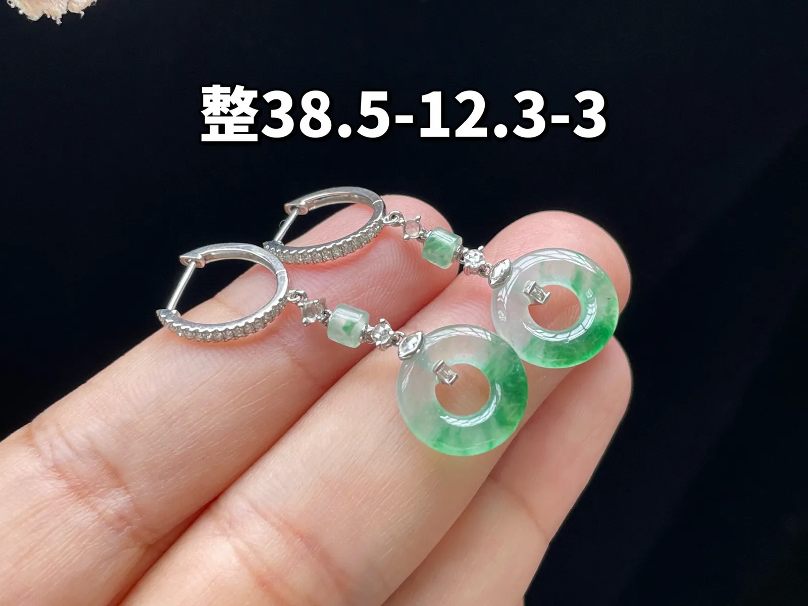 18K 冰种飘绿·甜甜圈耳坠

整38.5-12.3-3
