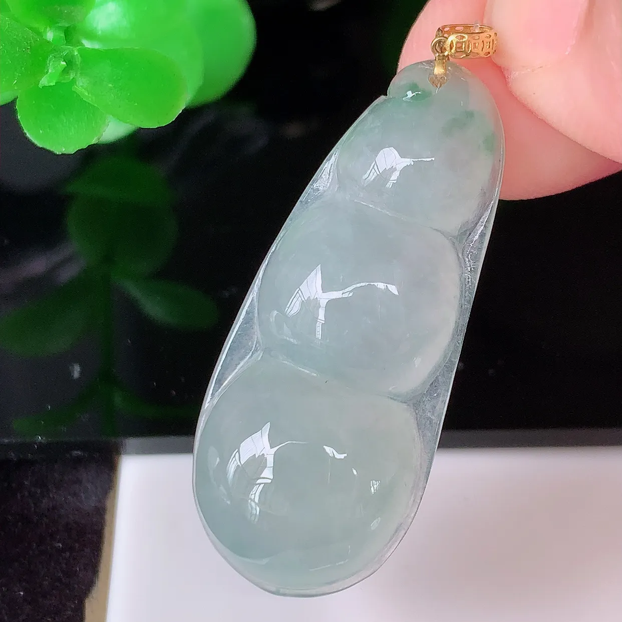 18K金镶嵌冰胶飘花四季豆吊坠，平安豆福豆翡翠玉坠，冰润通透，豆粒饱满，寓意：豆蔻年华！#49.10整体40.5裸石35.5*15.5-5.8