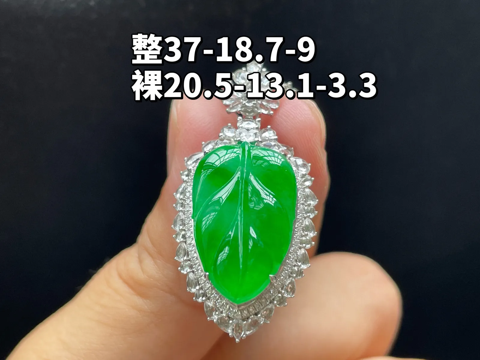 18K 满色阳绿·叶子
 
整37-18.7-9
裸20.5-13.1-3.3