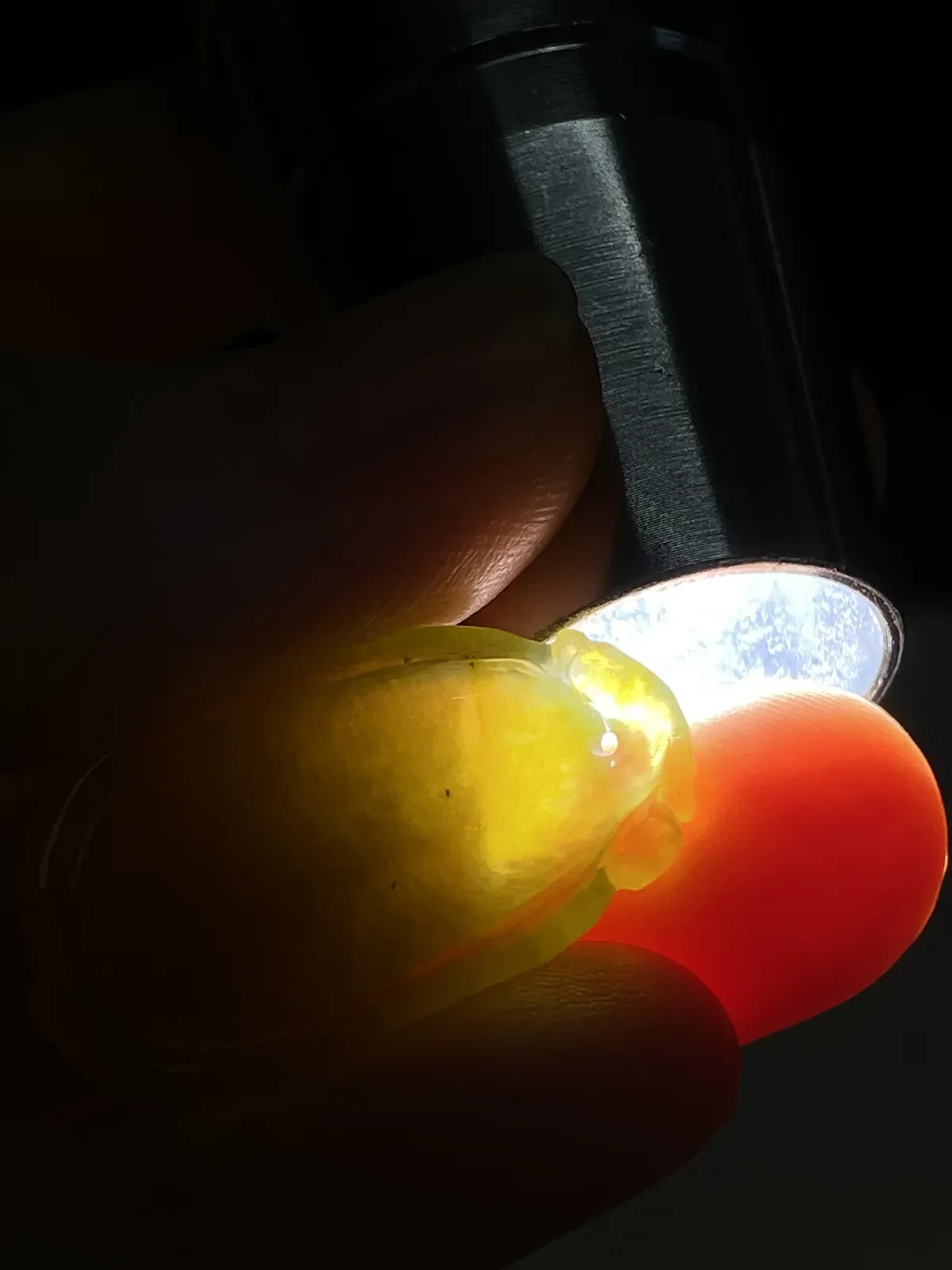 翡翠冰糯种黄色福瓜
