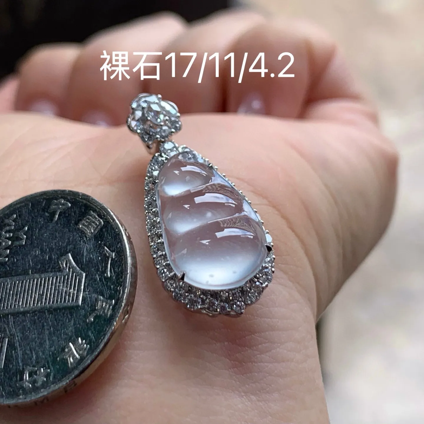 雪花棉福豆
种老 真金镶嵌