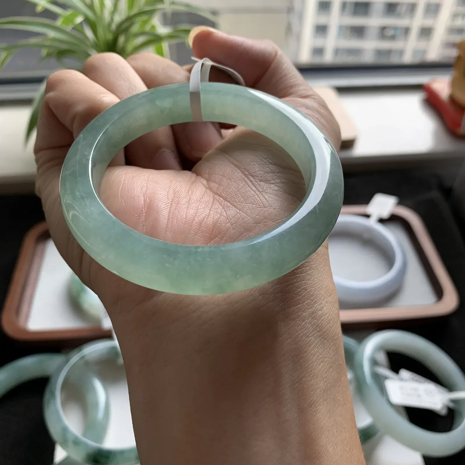52圈口绿底手镯