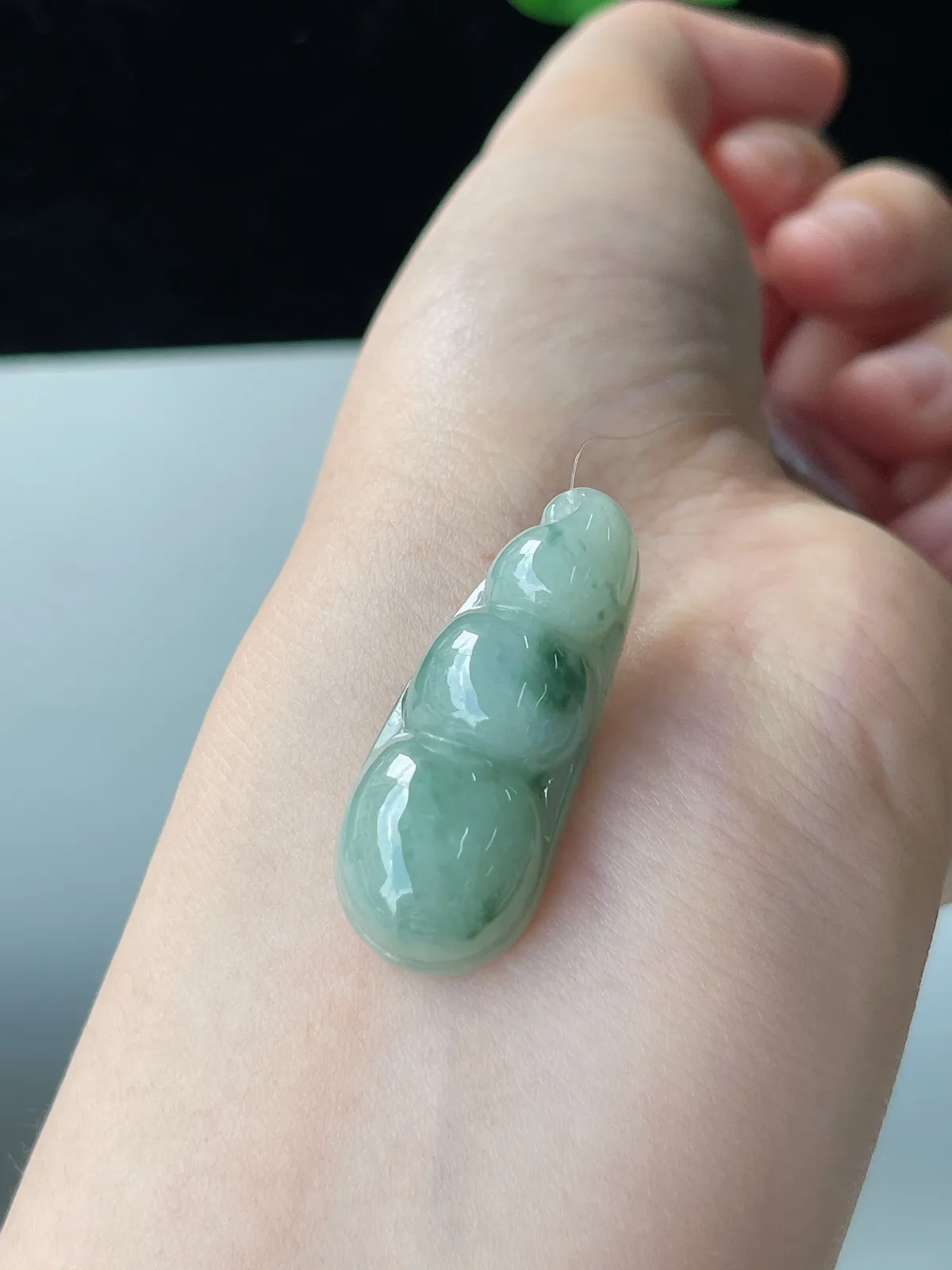 翡翠糯化种淡绿色福豆