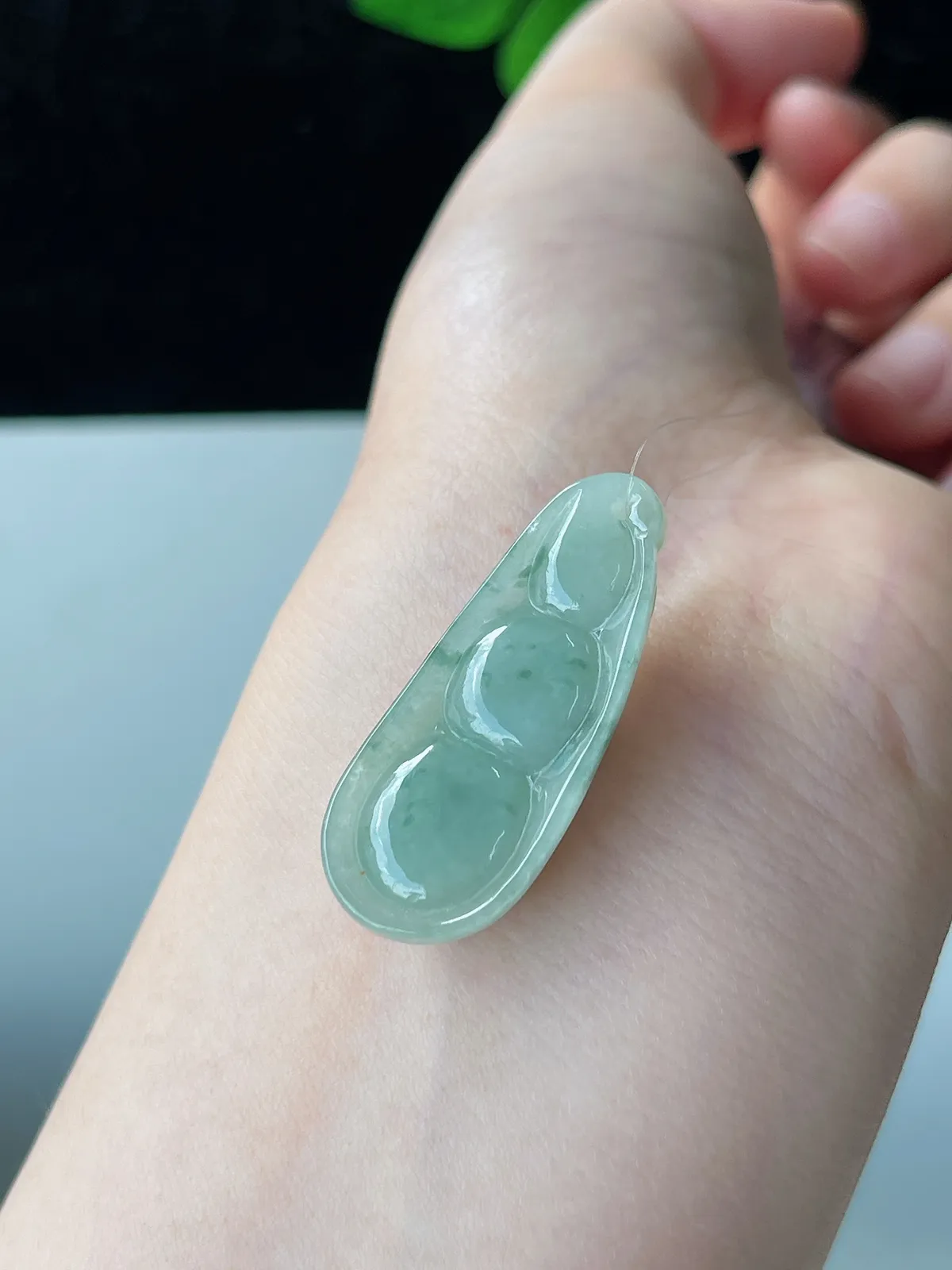 翡翠糯化种淡绿色福豆