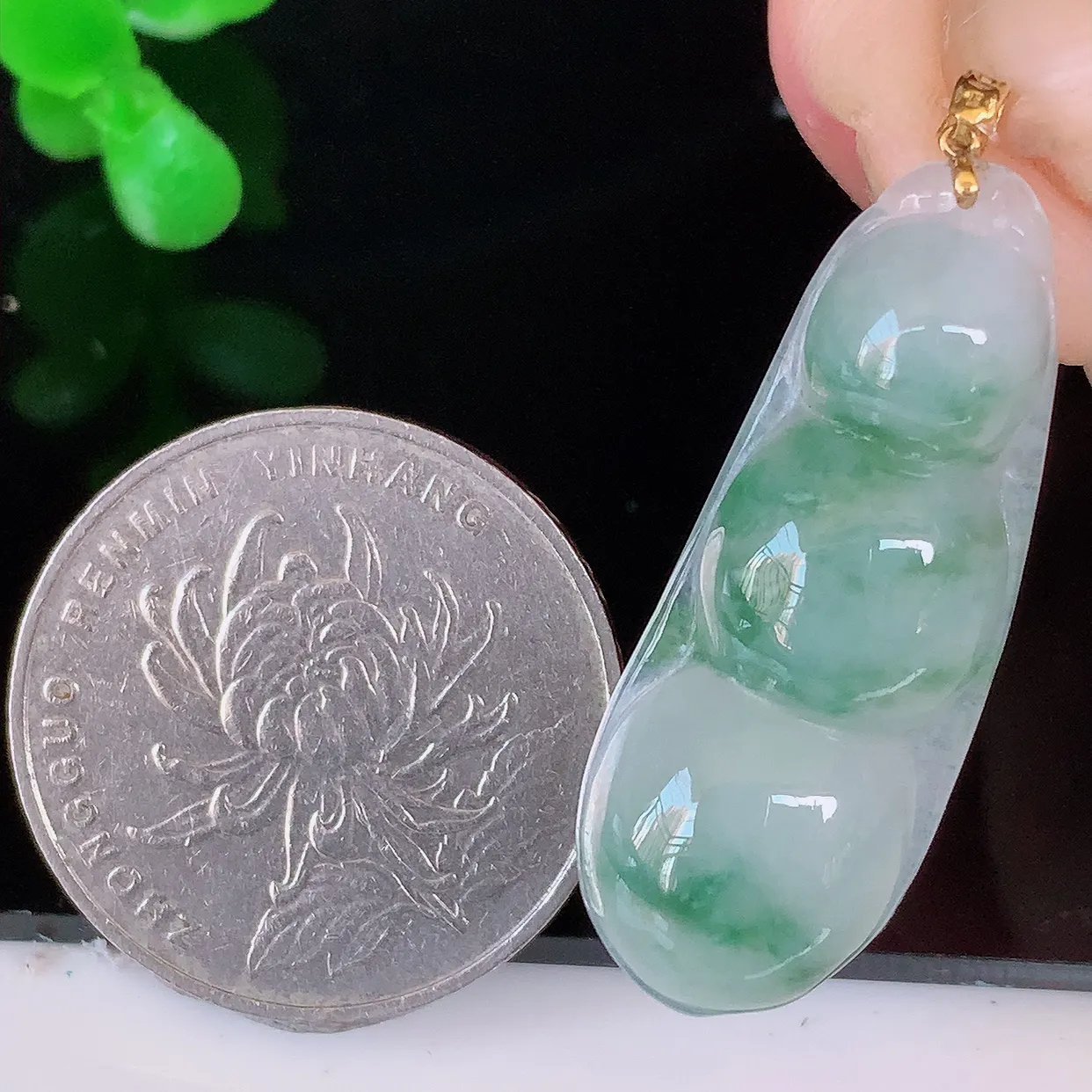 18K金镶嵌冰胶飘花四季豆吊坠，平安豆福豆翡翠玉坠，冰润通透，豆粒饱满，寓意：豆蔻年华！#49.24