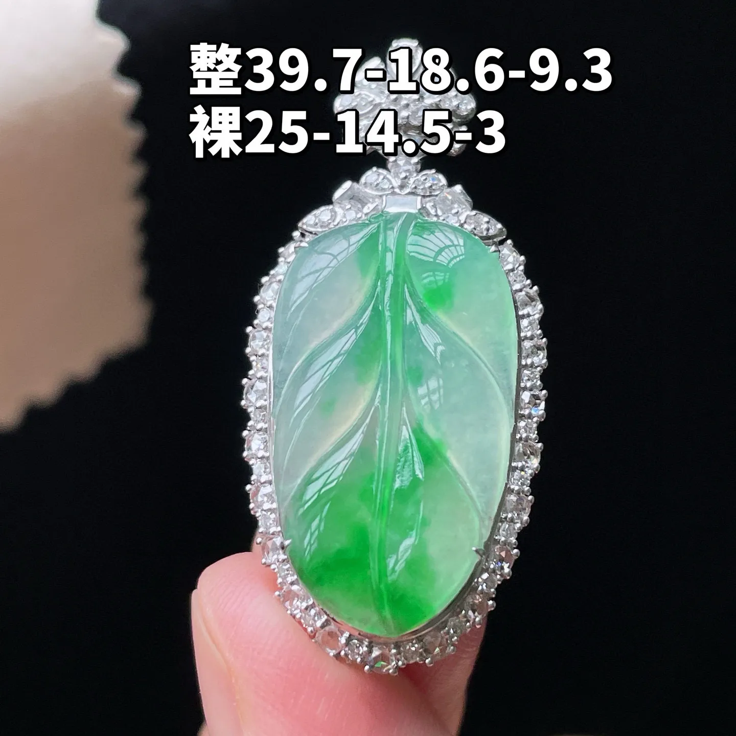 18K 冰种飘绿·叶子
 
整39.7-18.6-9.3
裸25-14.5-3
